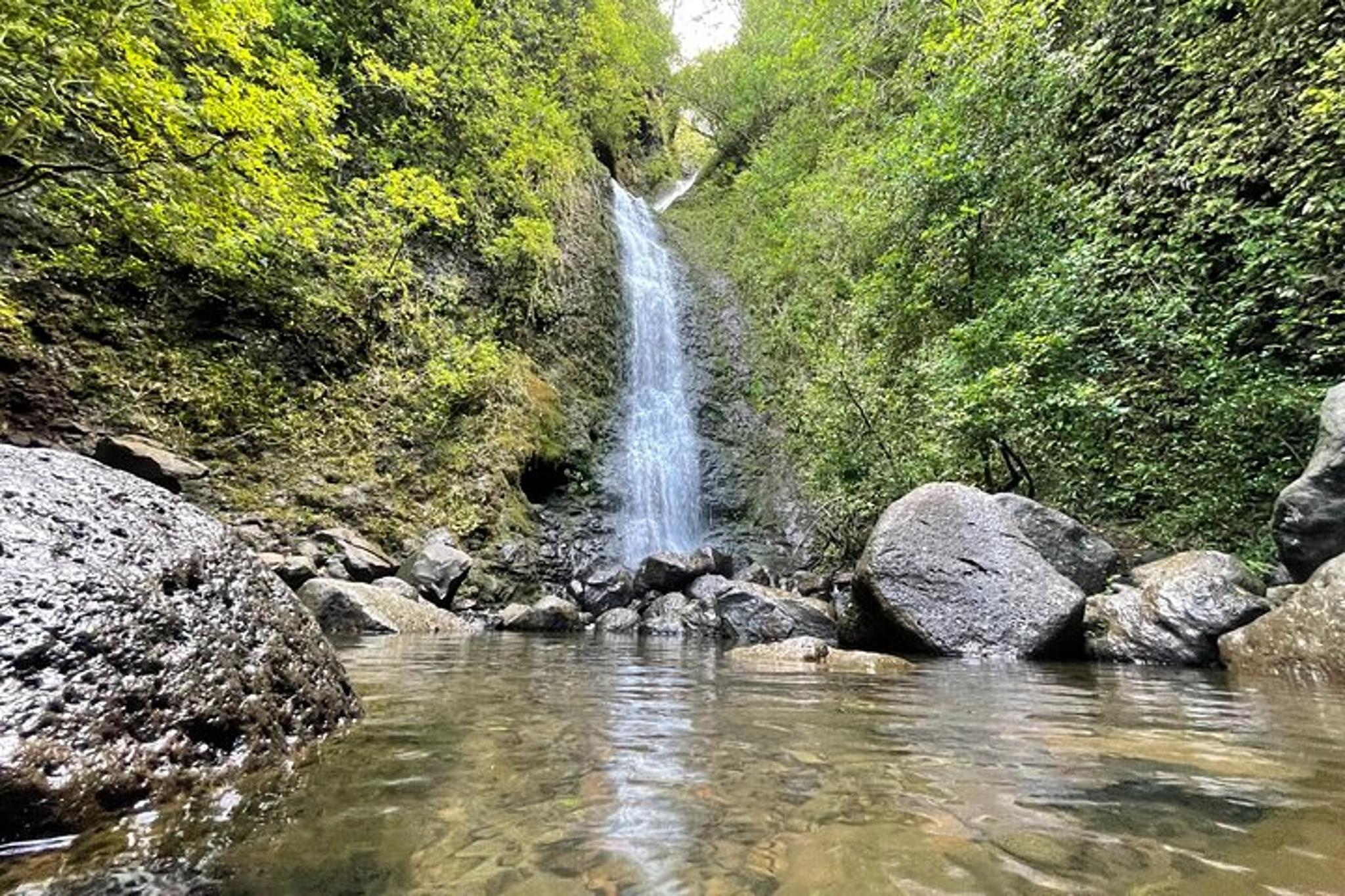 Hawaii Waterfall Hike with Private Transportation - Image 6