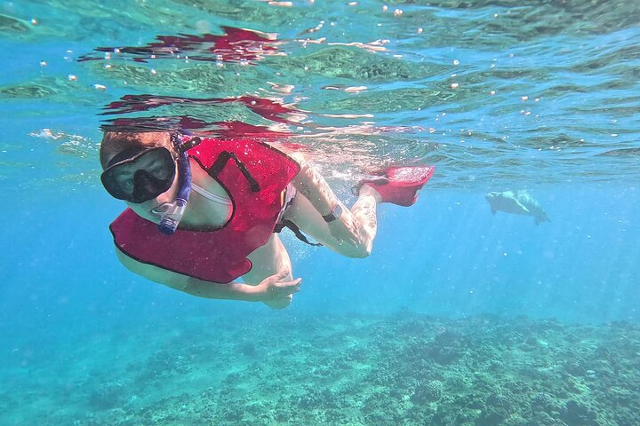 Oahu Marine Ecology Snorkel Tour - Image 4