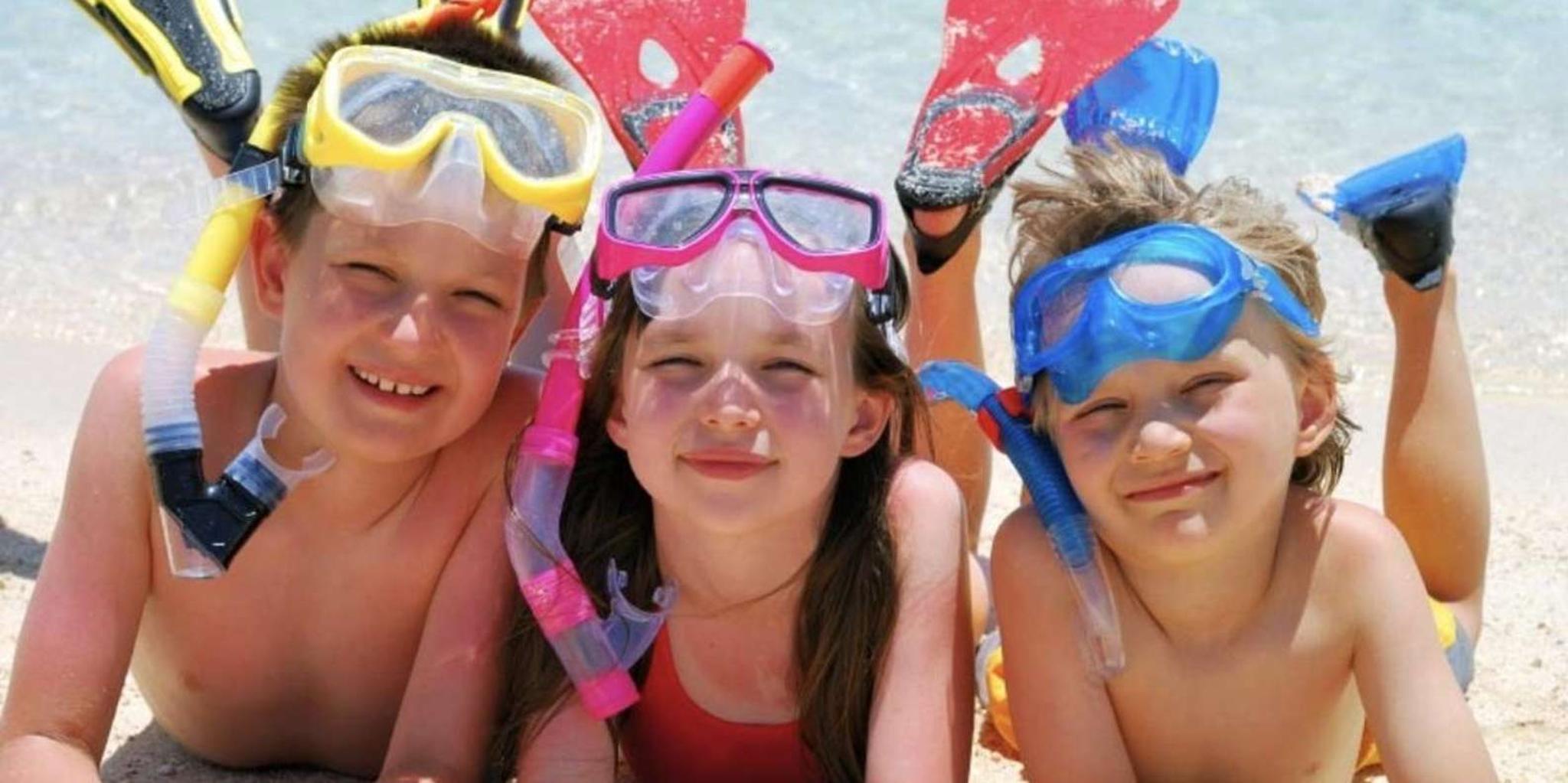Destin Shark Tooth and Sea Shell Scavenger Hunt Cruise 1.5 hr - Image 2
