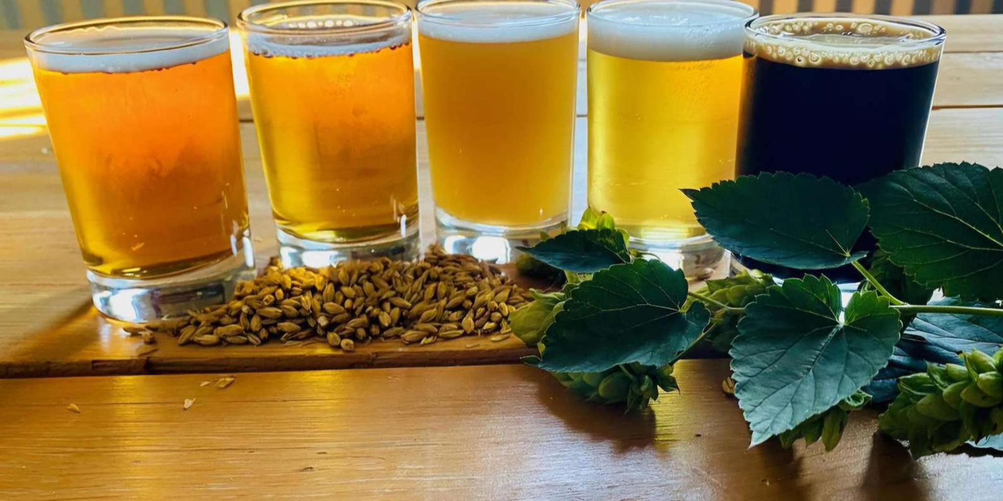 Traverse City Wine and Food Tour - Image 3