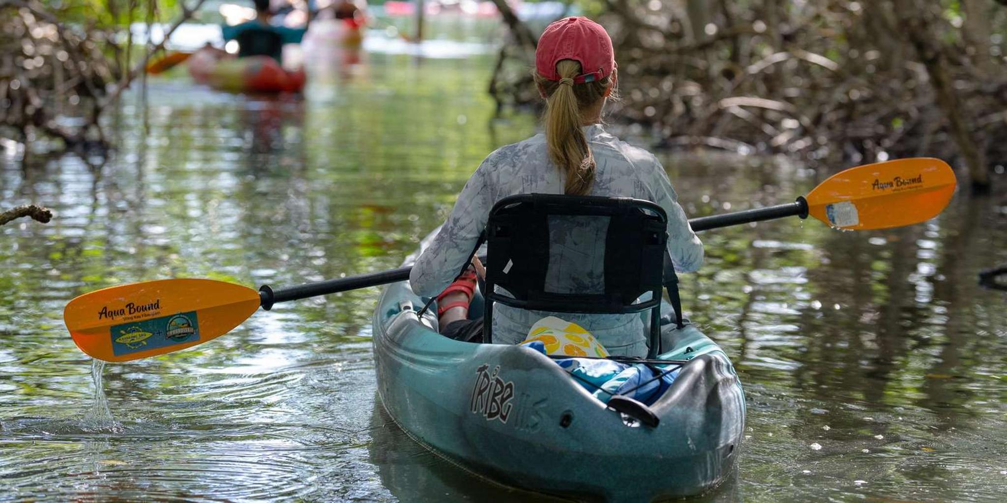 Sarasota Mangrove Tunnel Kayak Tour - Image 6