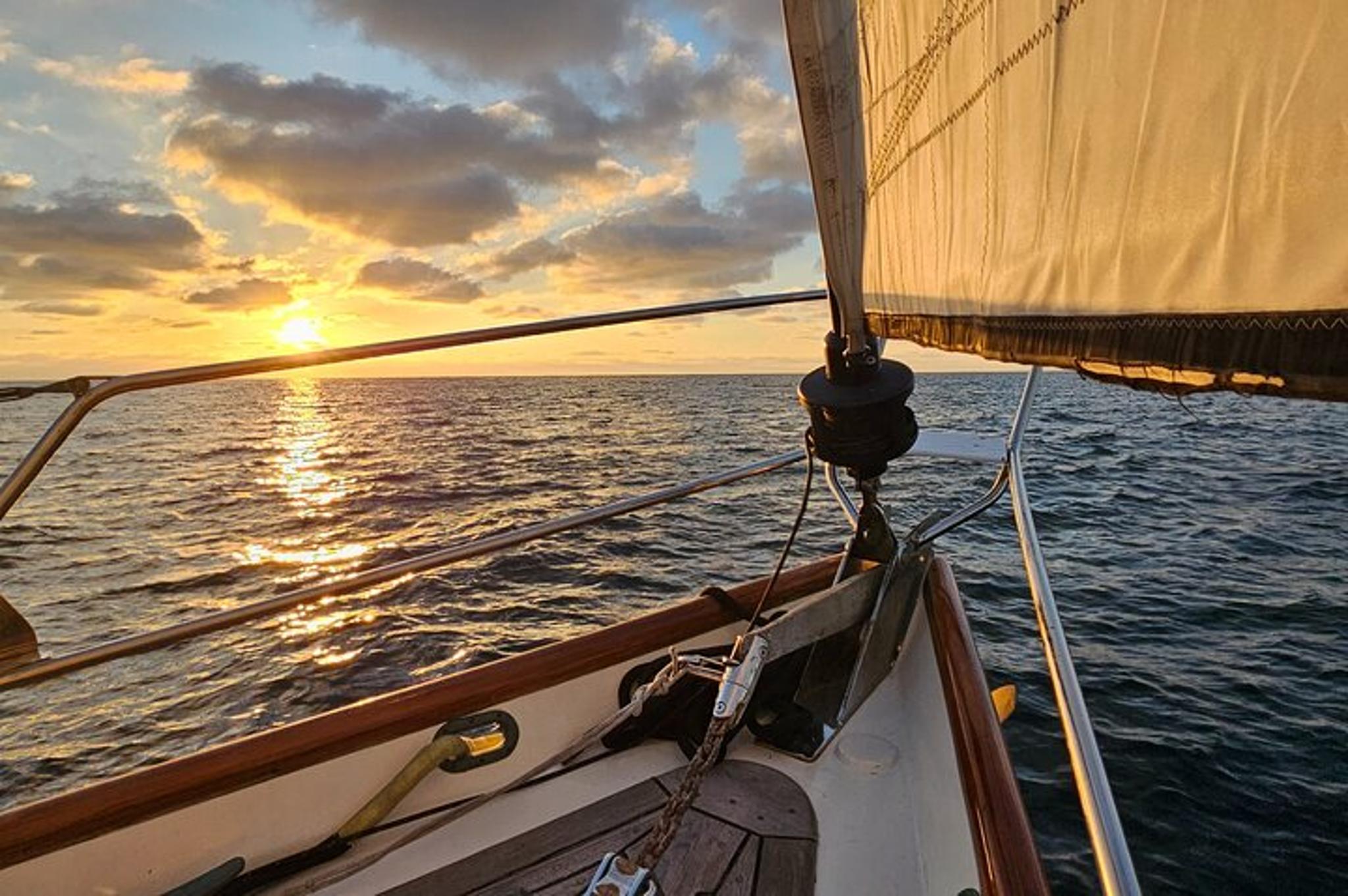 Oceanside Sailing with Dolphins and Whales 2 hr - Image 2