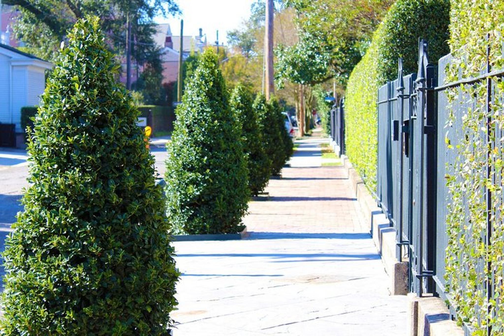 New Orleans Garden District Walking Tour - Image 6