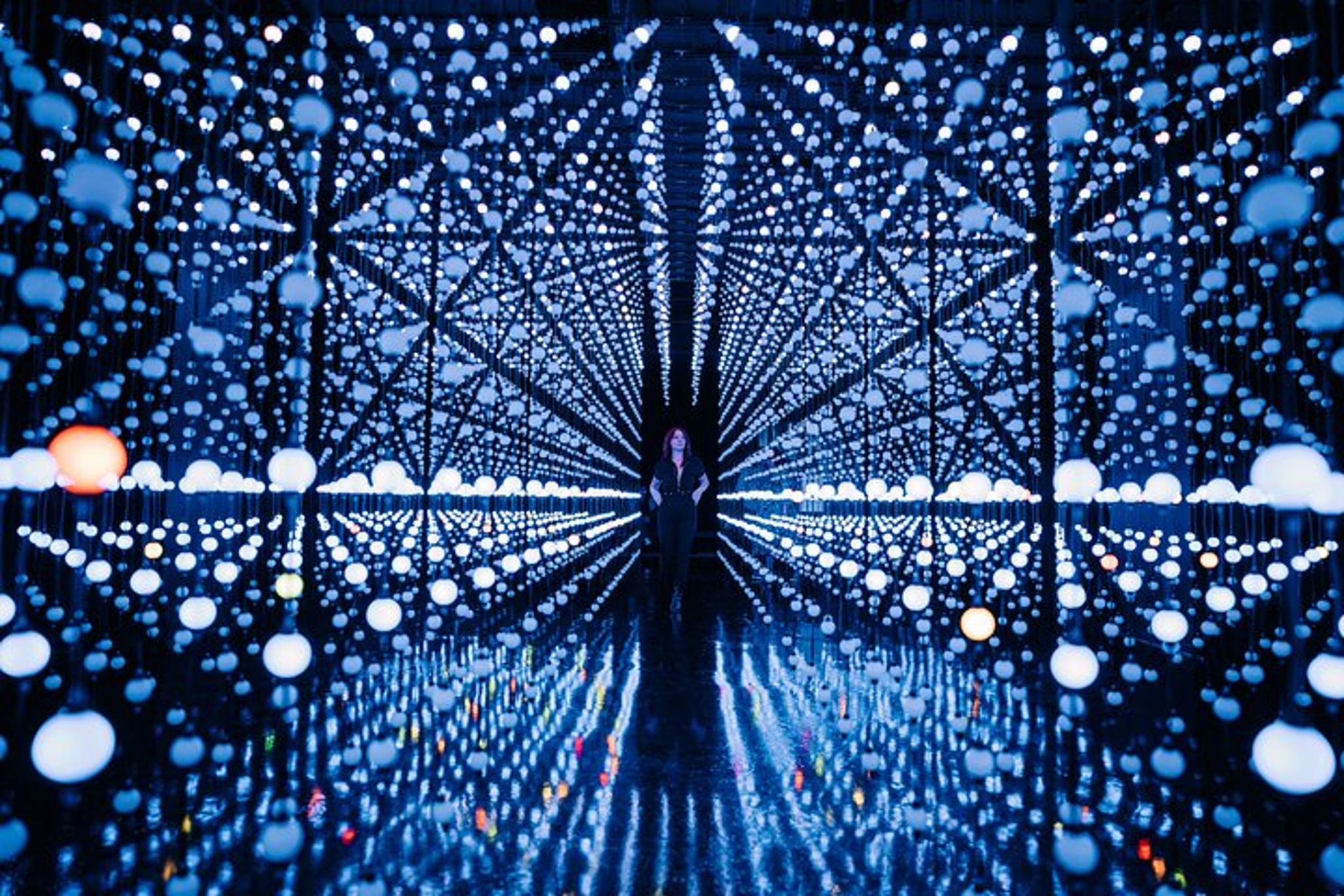 San Antonio Immersive Art Experience - Image 2
