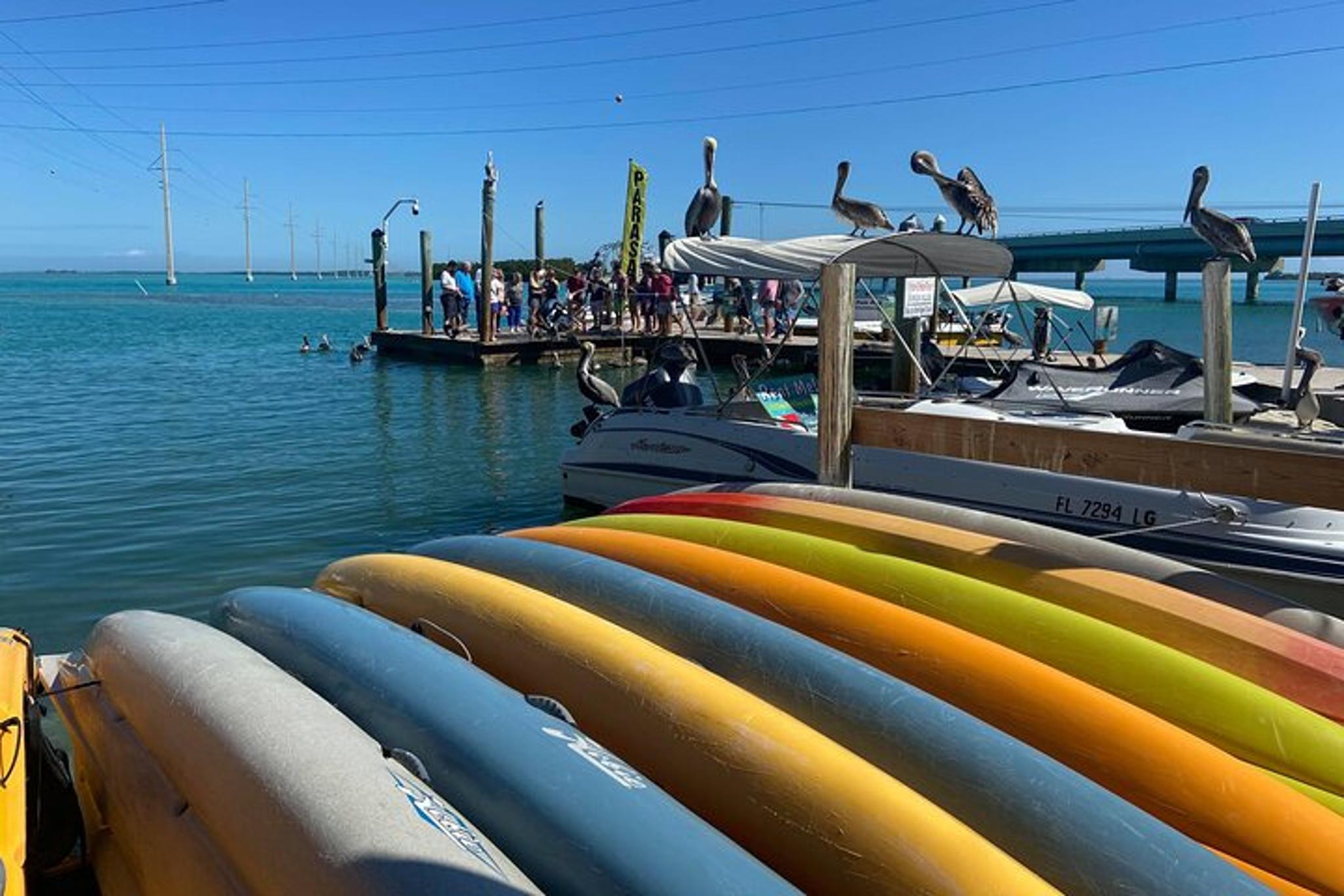 Key Largo and Islamorada Private Tour - Image 2