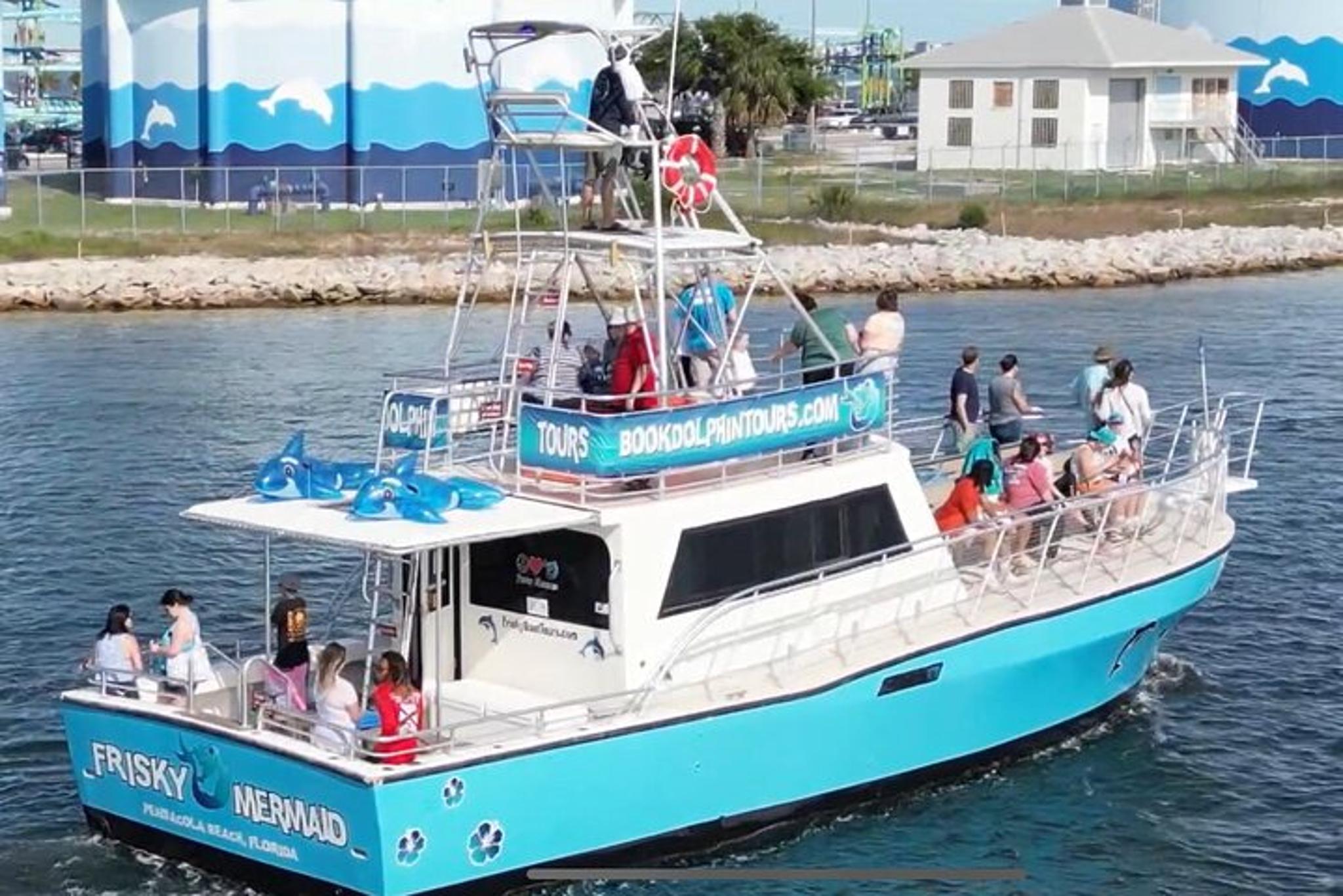 Pensacola Beach Dolphin Sightseeing Cruise - Image 4
