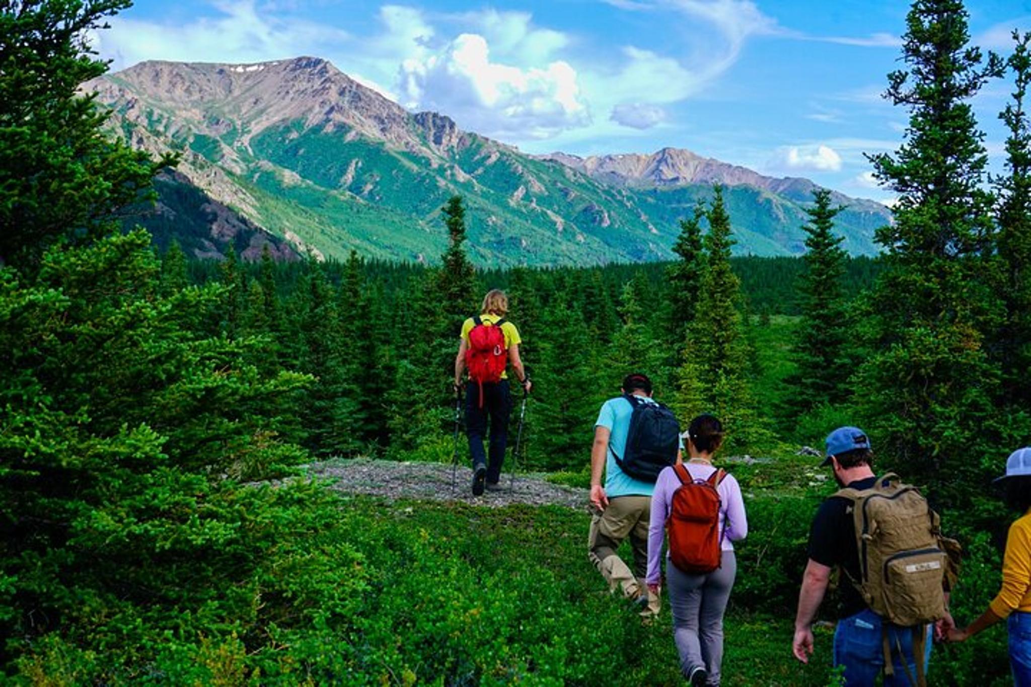 Denali Off-Trail Hiking Adventure - Image 5