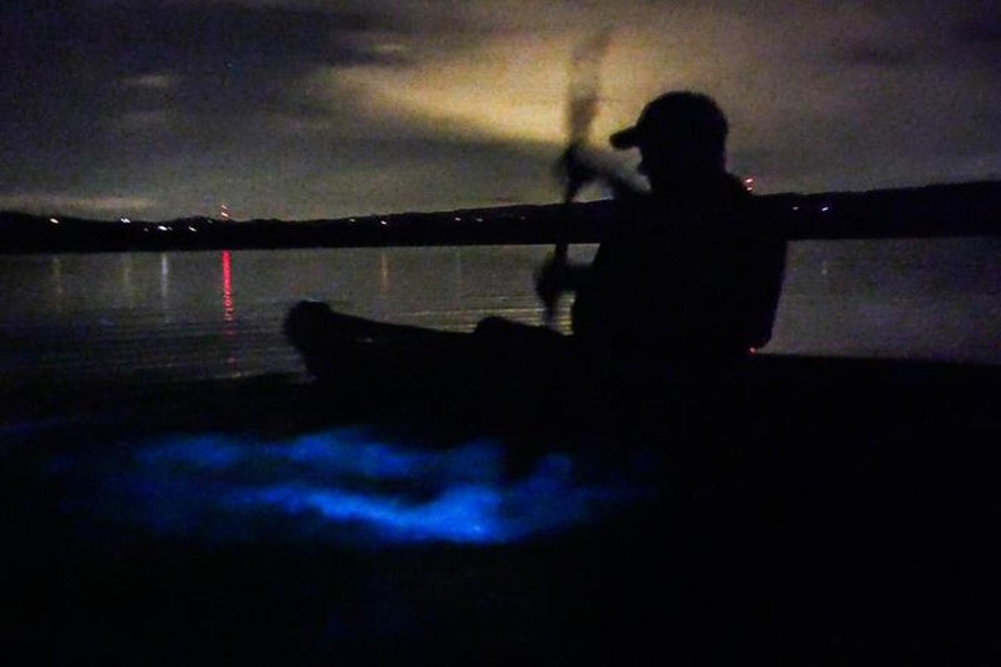 Merritt Island Bioluminescence Kayak Tour - Image 5