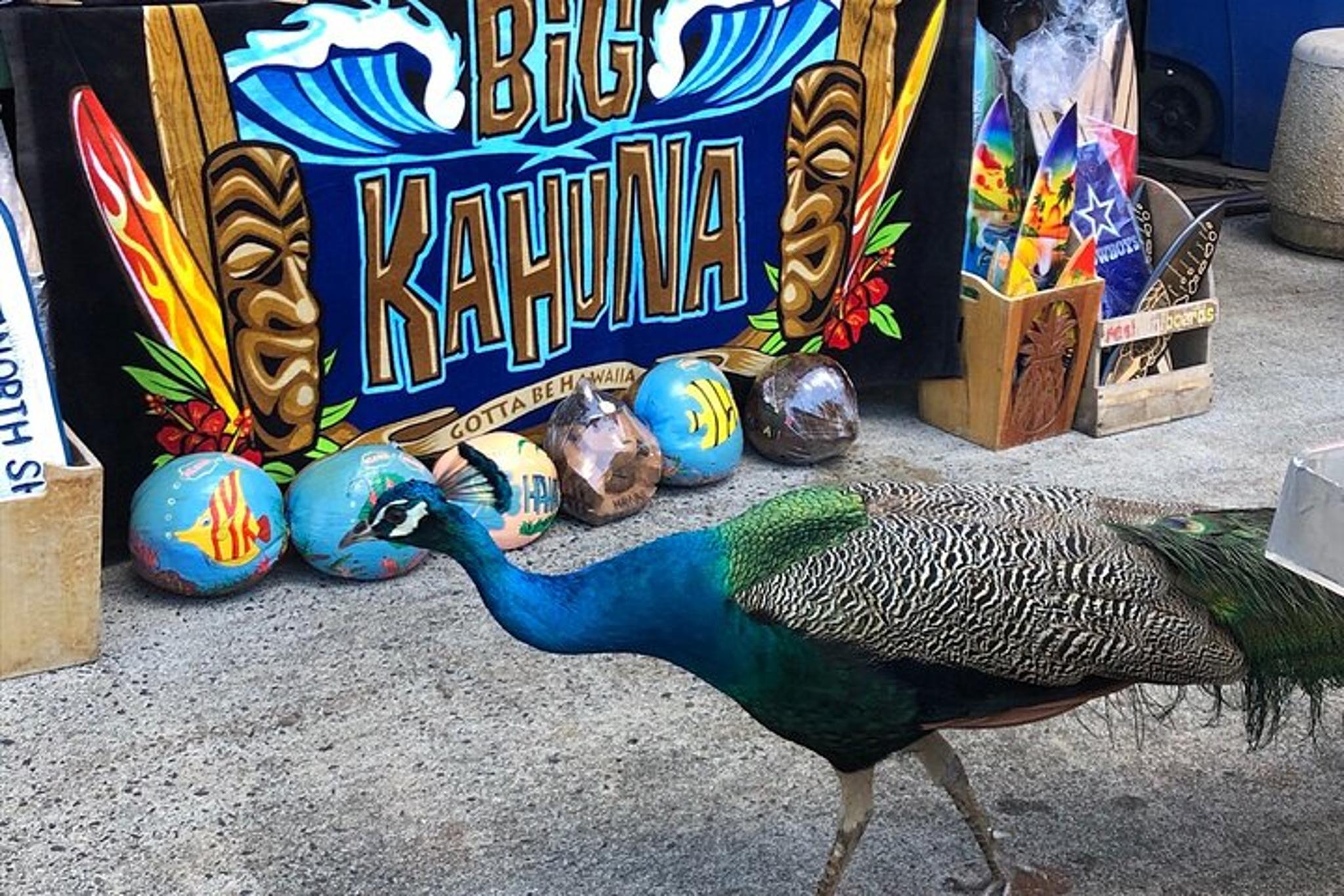 Oahu North Shore Eat & See Tour - Image 3