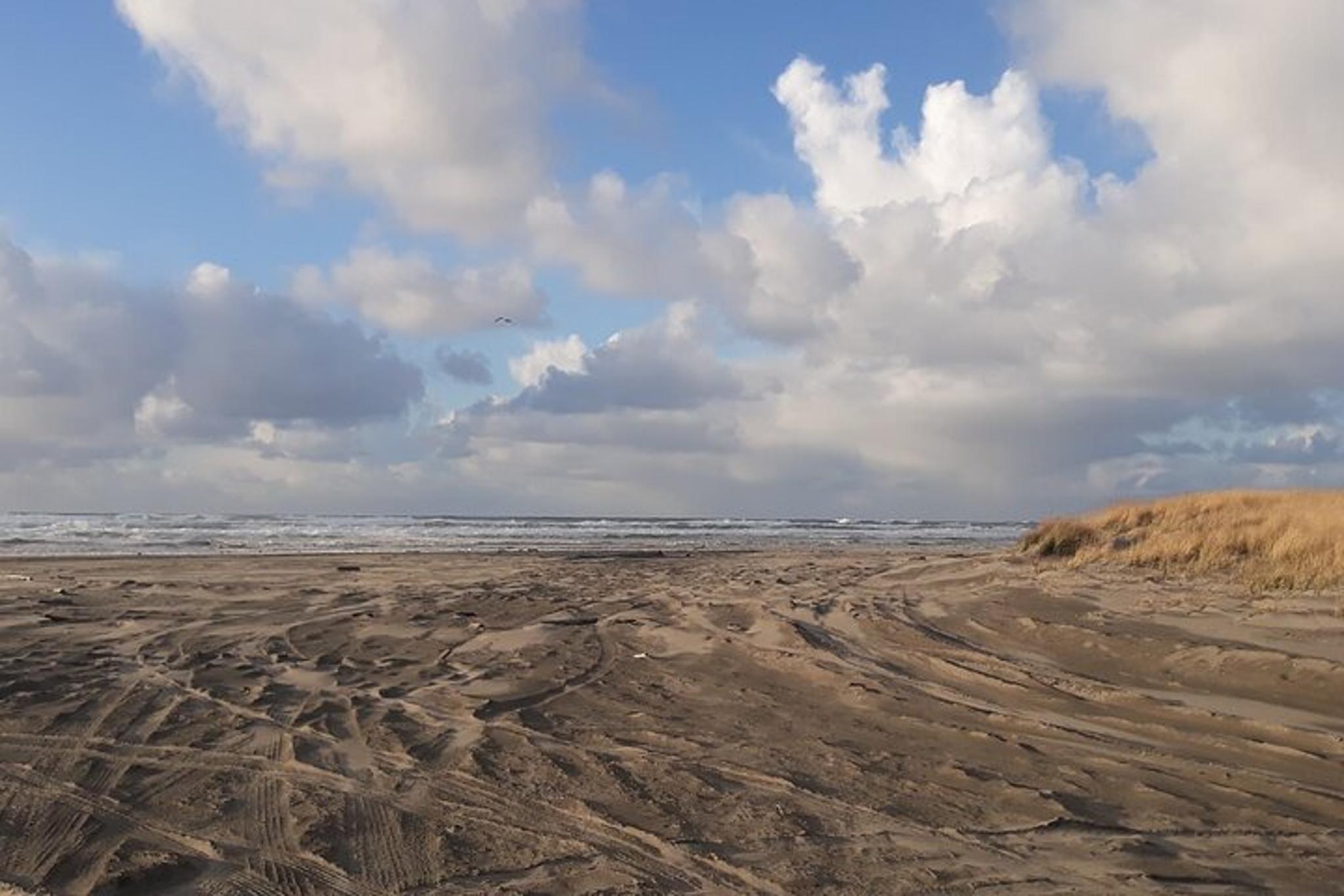 Long Beach Pacific Ocean Experience - Image 2