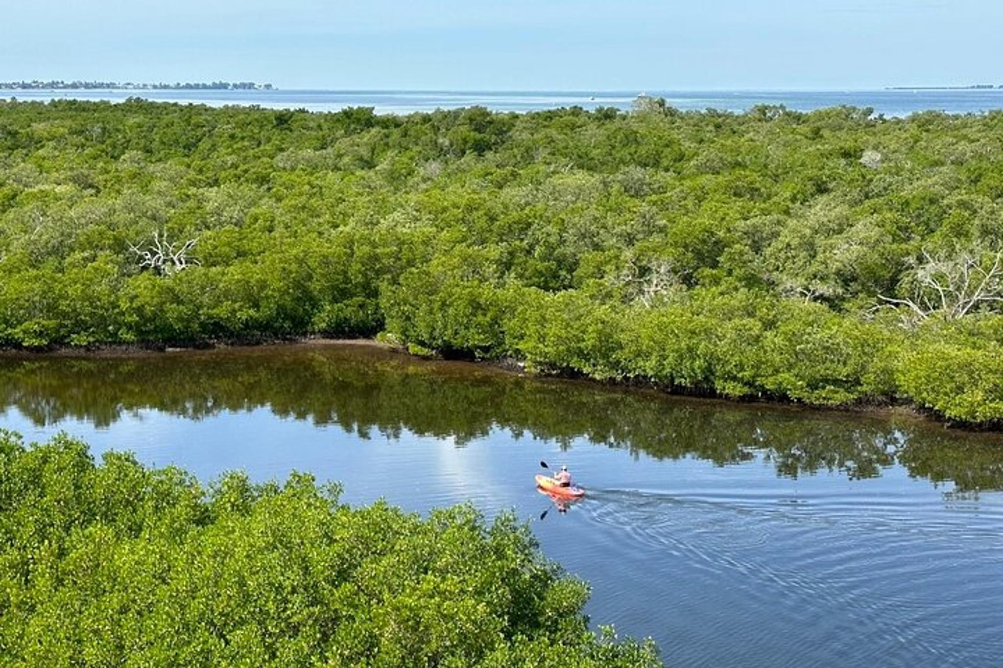 Robinson Preserve Mangrove Kayak Tour