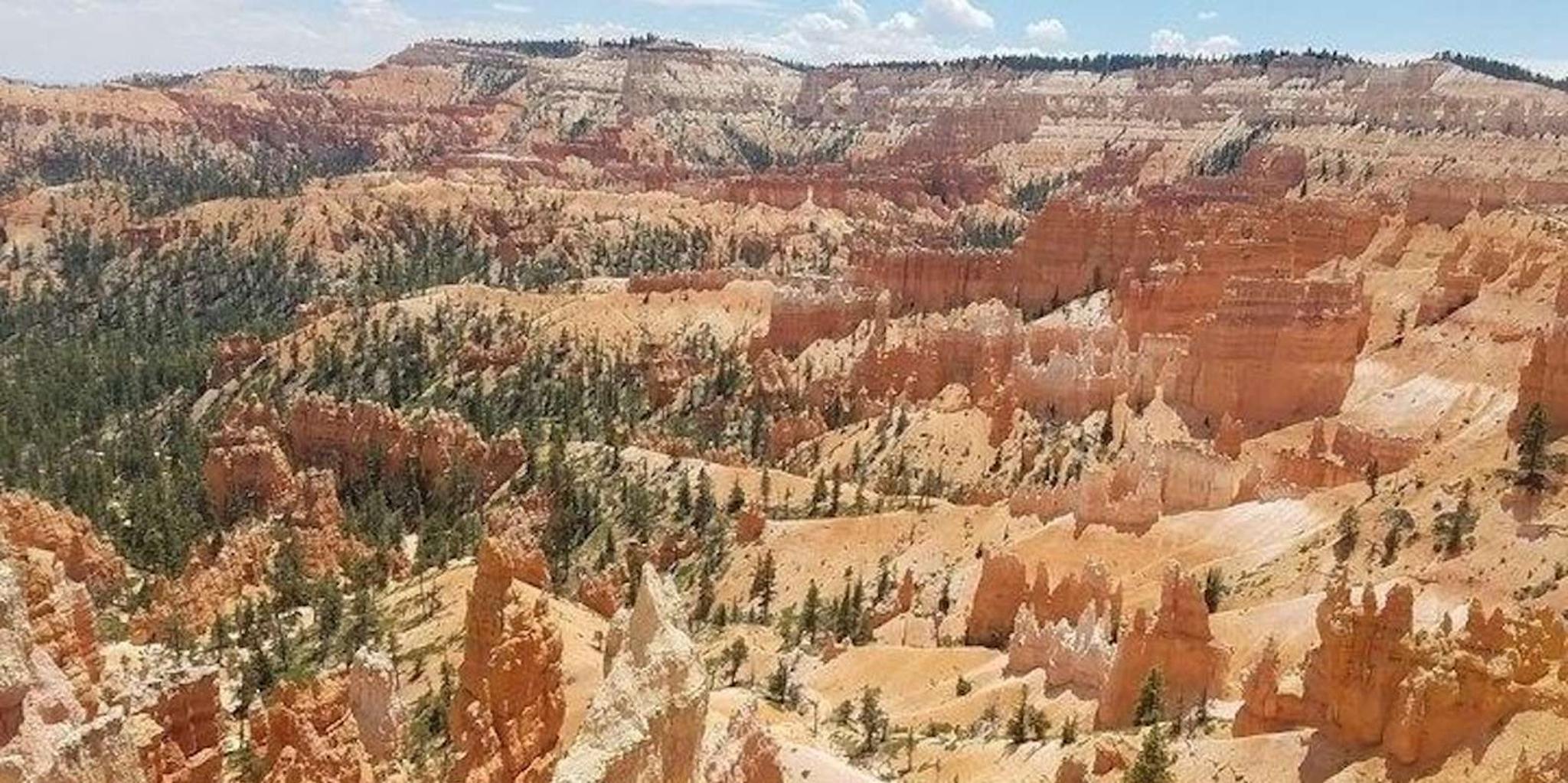 Las Vegas Zion and Bryce Canyon Day Tour - Image 5