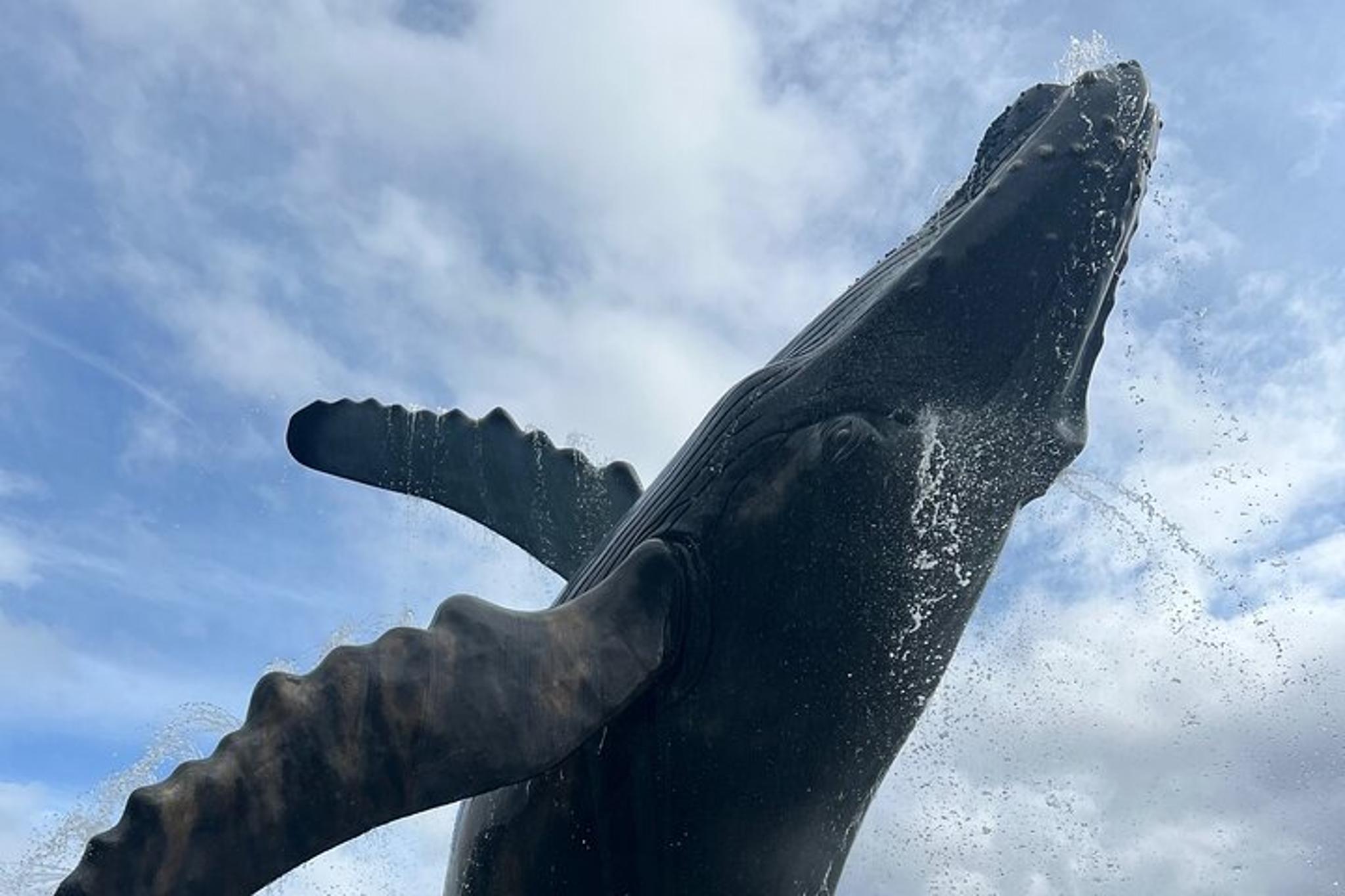 Juneau Gold Panning and City Tour - Image 4