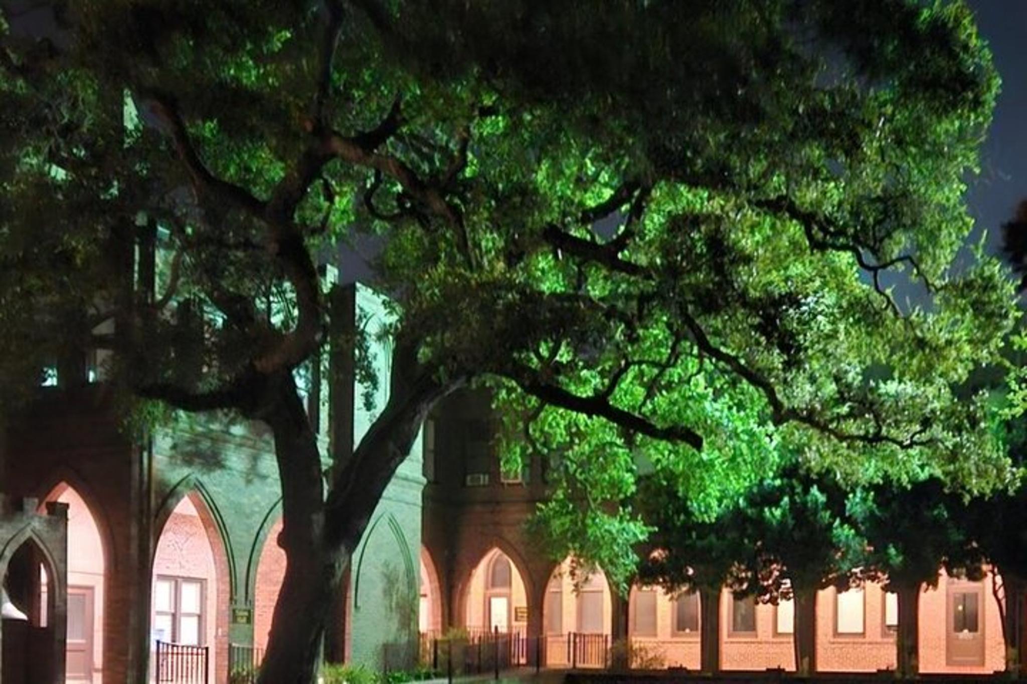Galveston Ghost Tour: Small Group Experience 1.5 hr - Image 4