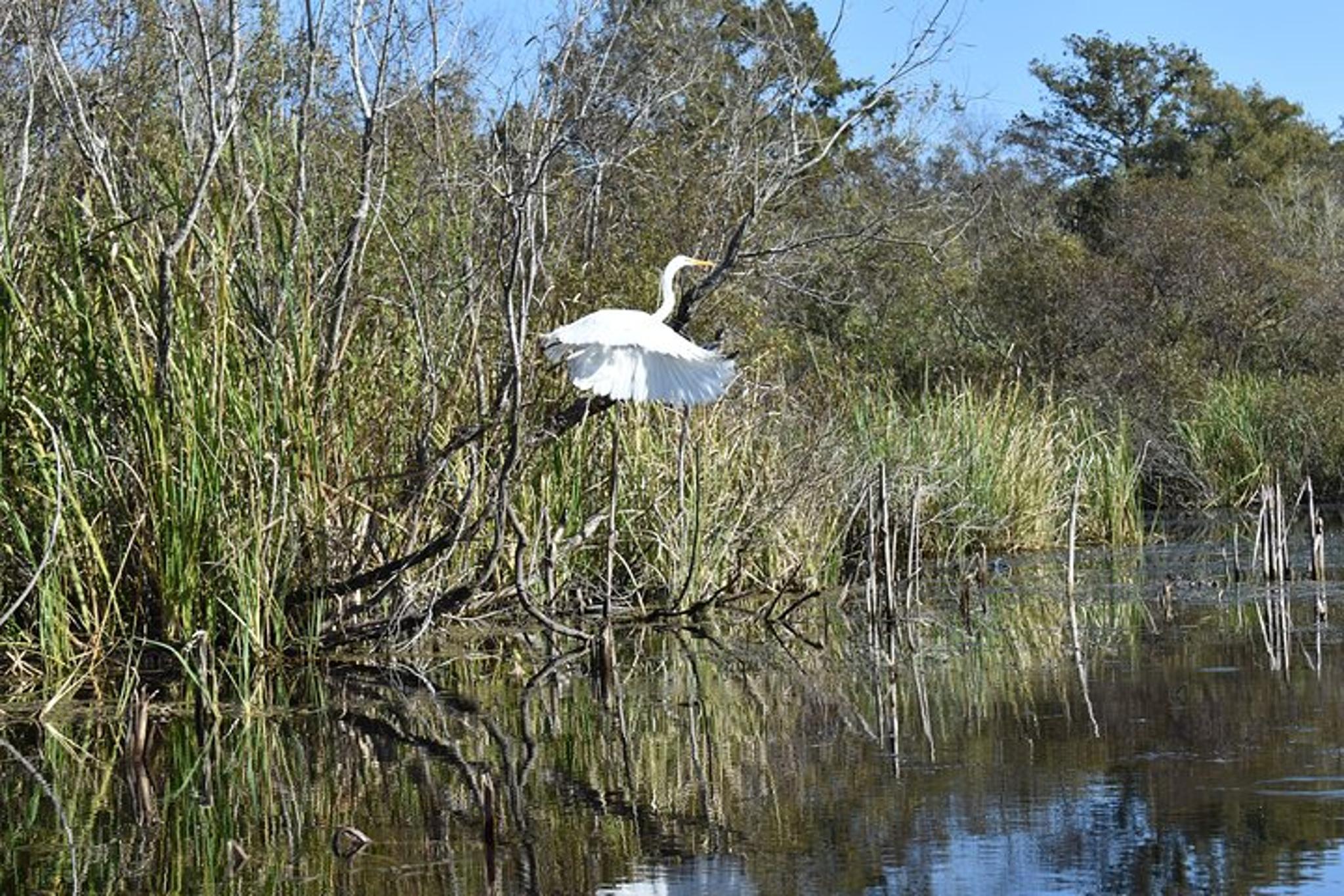 Everglades Guided Kayak Tour - Image 3