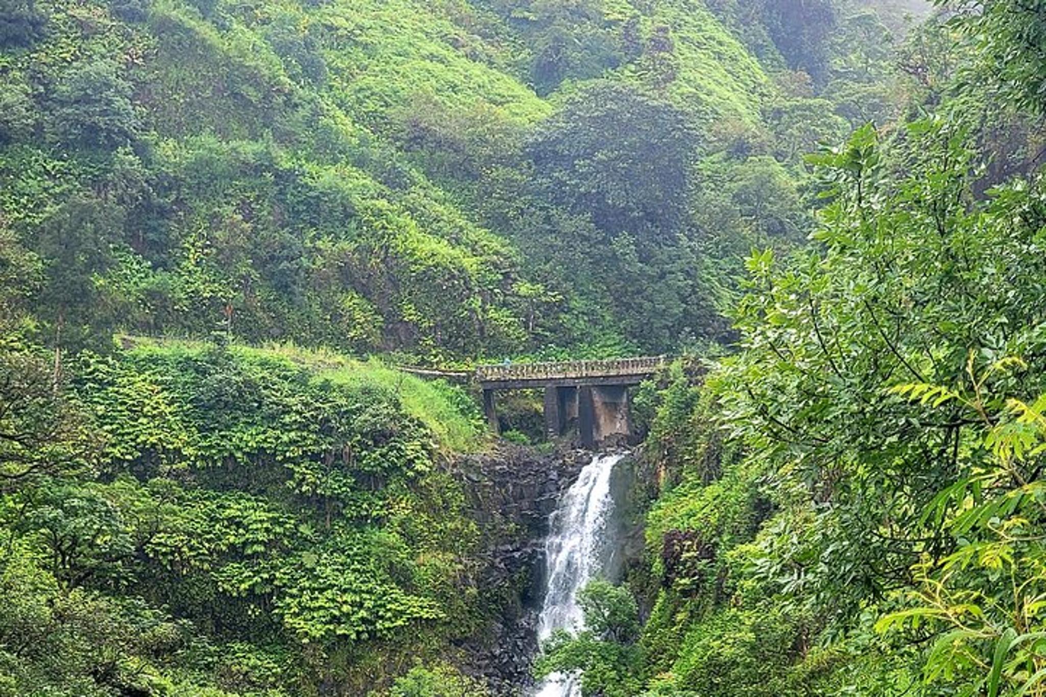 Maui Private Road Tour in Mercedes Sprinter - Image 5