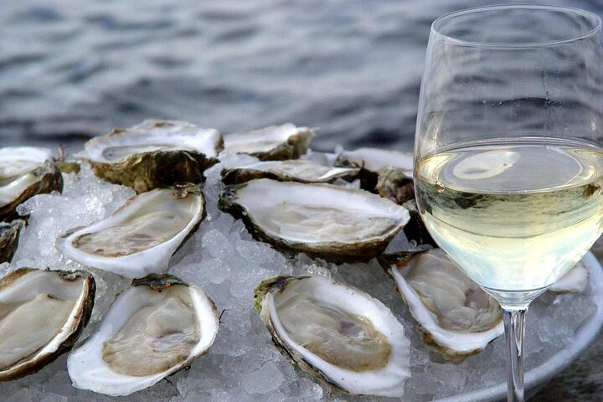Providence Wine & Oyster Boat Cruise 75 Min