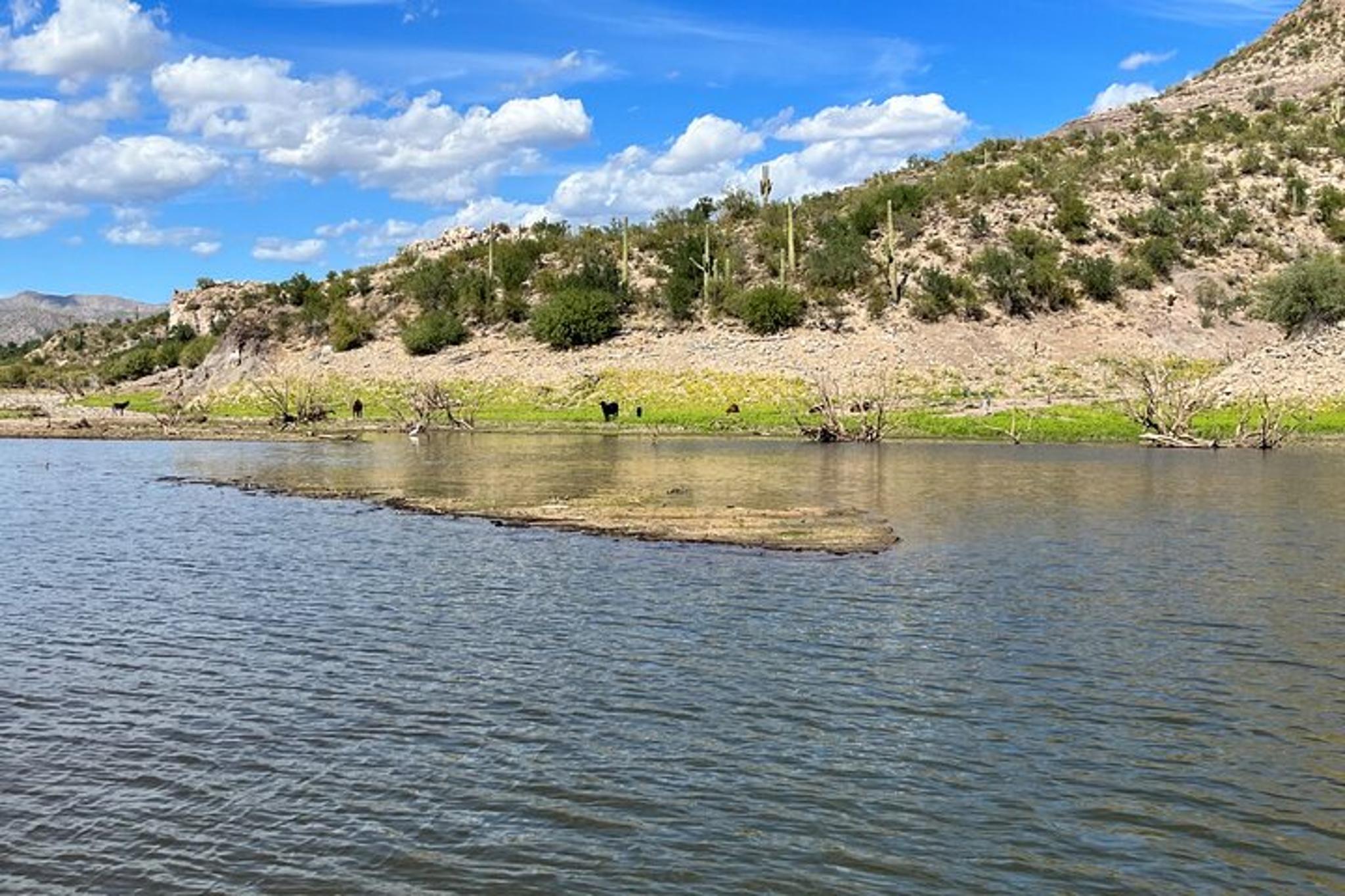 Lake Pleasant Boat Tour - Image 2