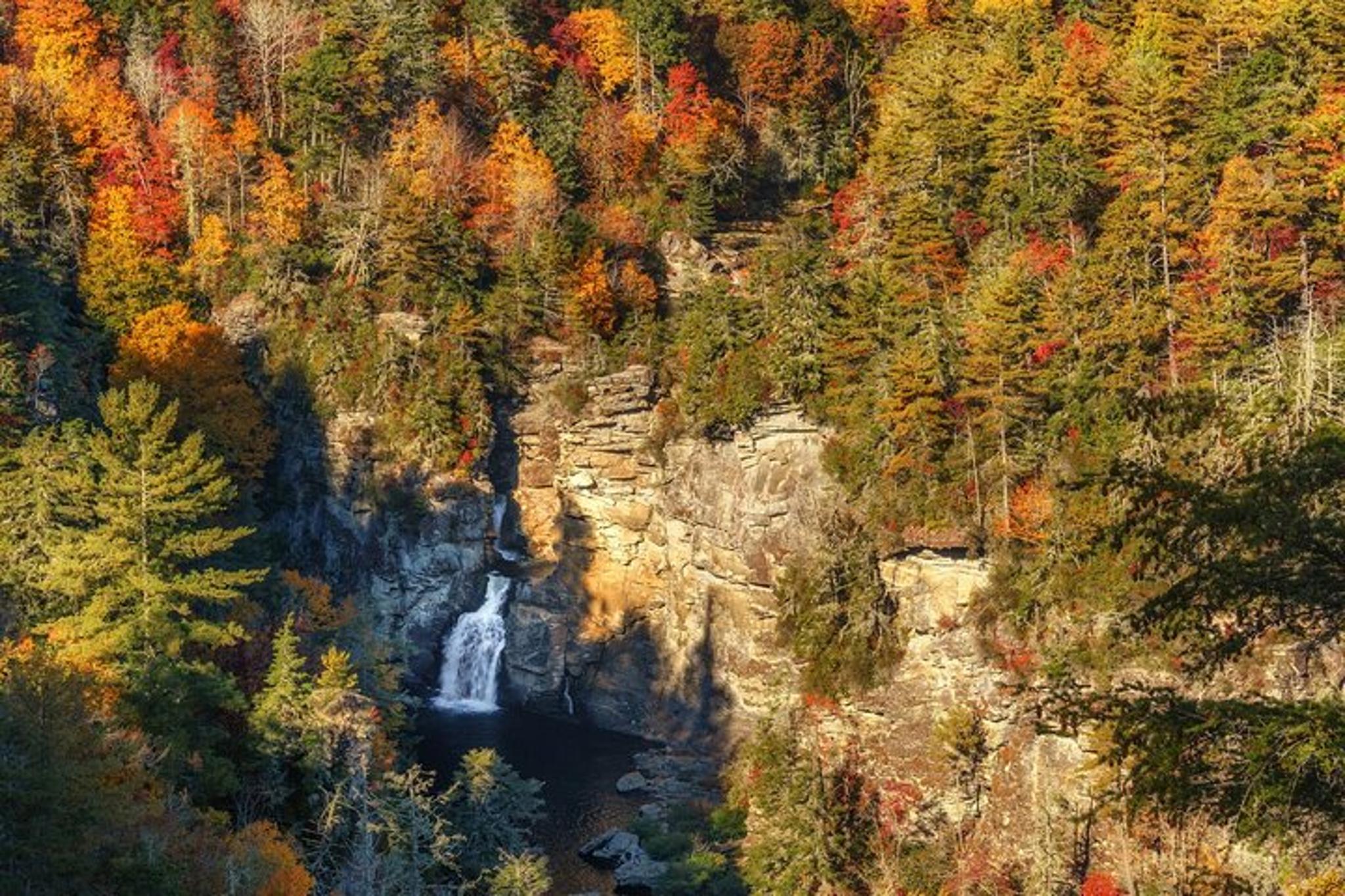 Blue Ridge Mountains Scenic Driving Tour - Image 4