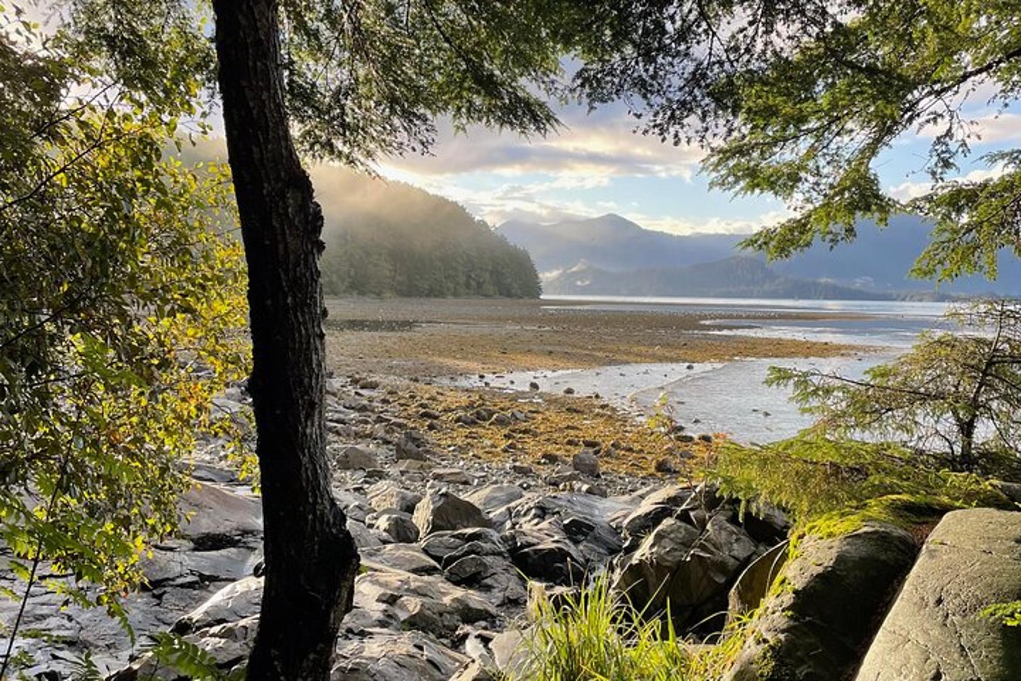 Sitka Nature Walk in Tongass National Forest - Image 6