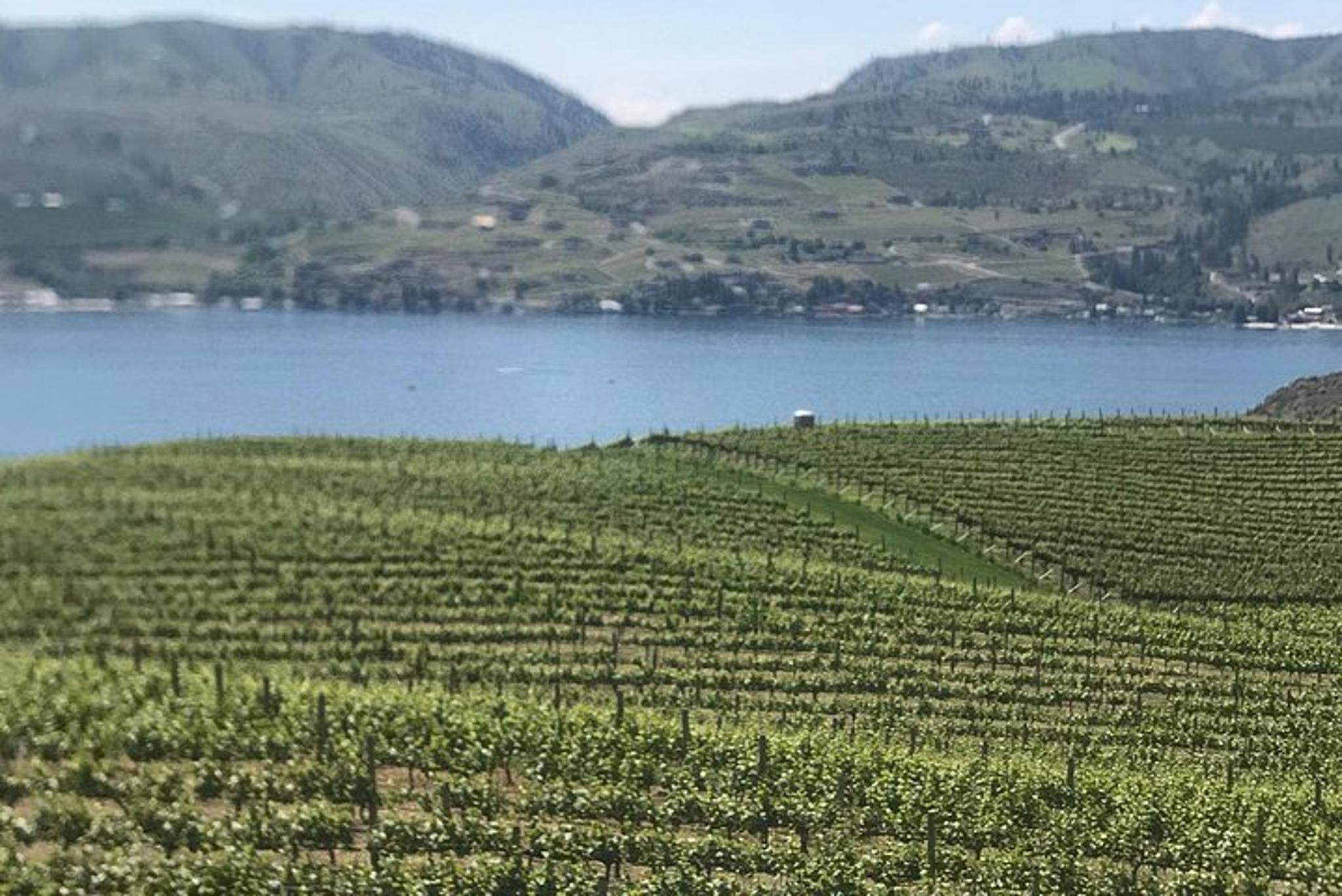 Wenatchee River Whitewater Rafting and Winery Tour - Image 4