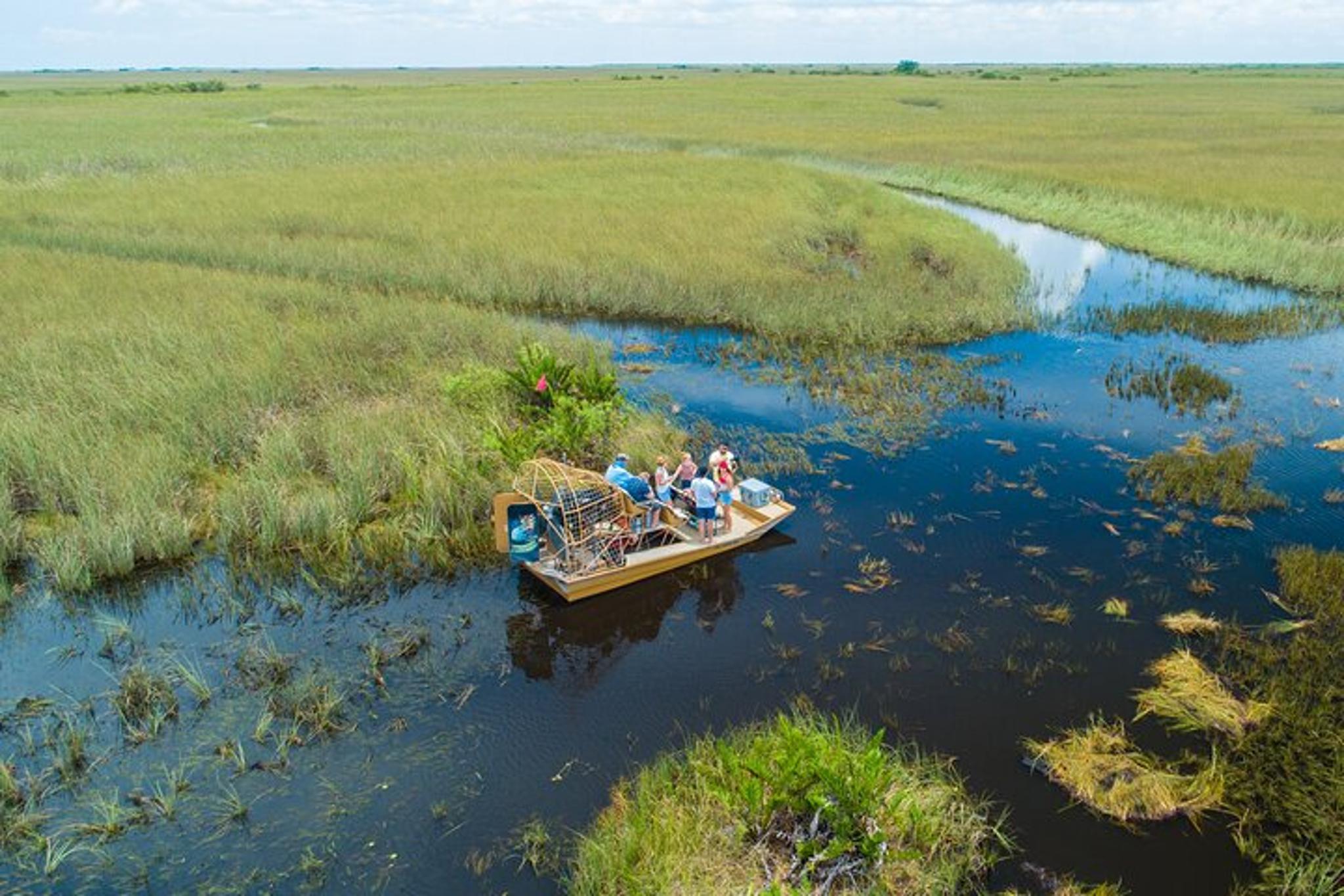 Miami Airboat Tour in the Everglades 1 hr - Image 4