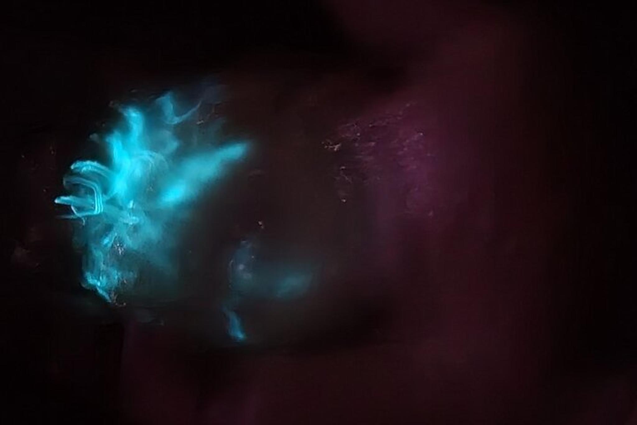 Titusville Bioluminescence Clear Kayak Tour - Image 5