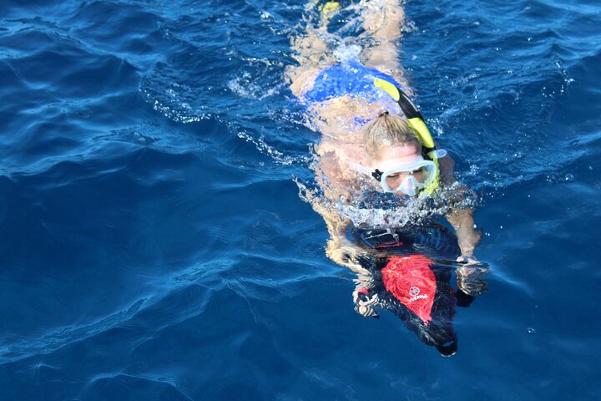 Lanai Snorkeling Tour with Sea Scooter 4 hr - Image 2