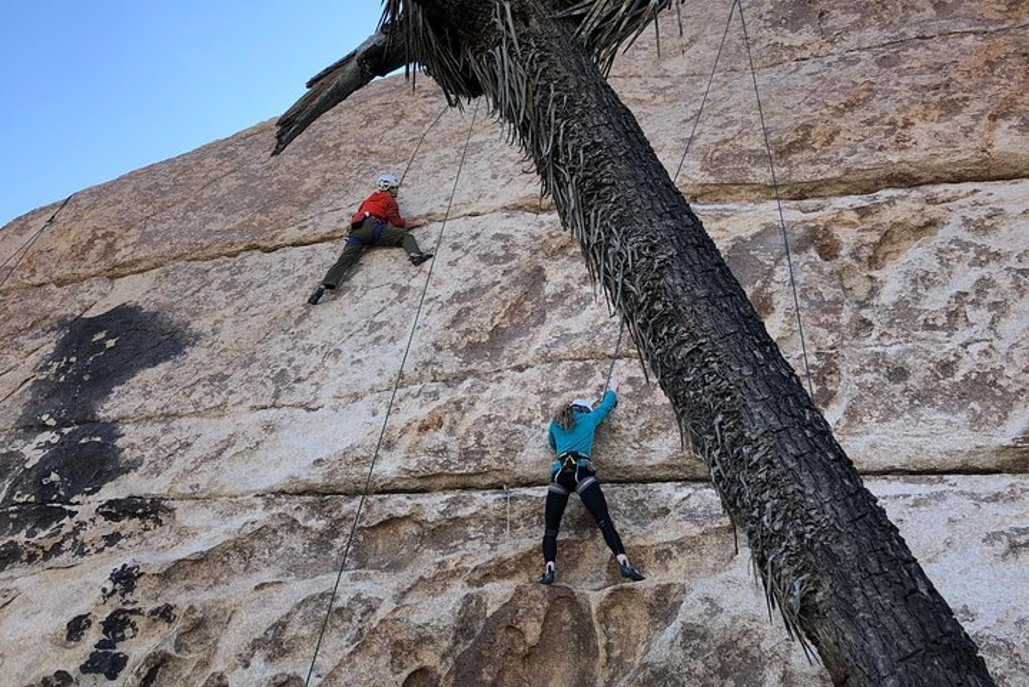 Joshua Tree Rock Climbing Adventure - Image 2