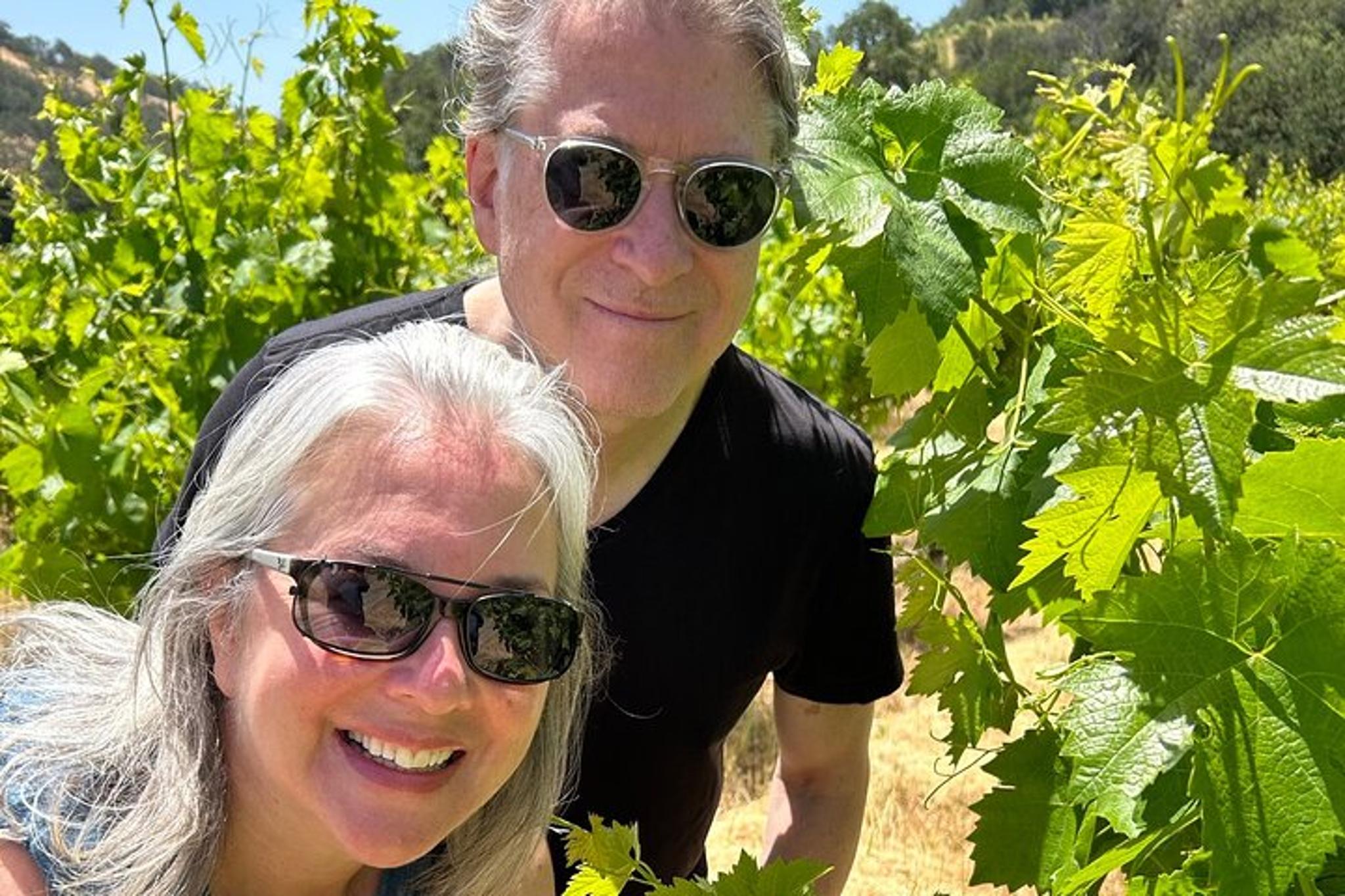 Sonoma Trike and Hike Tour - Image 6