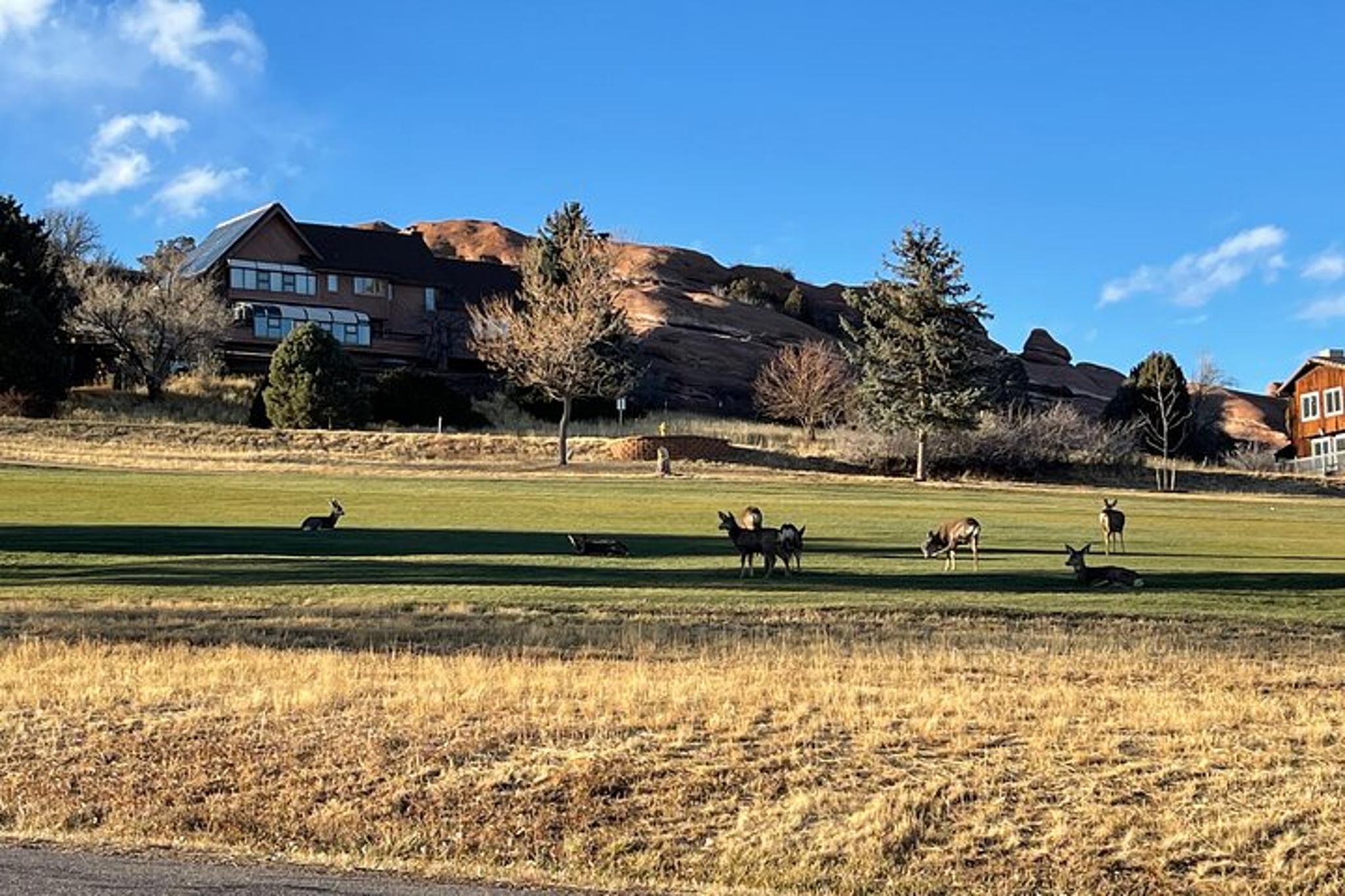 Denver Concert Venues Ride - Image 5