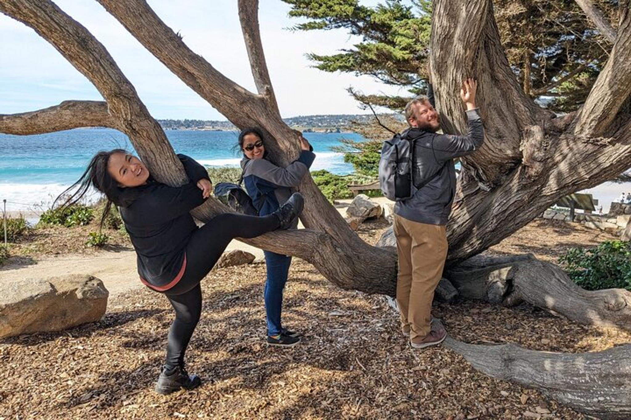 La Jolla Scavenger Hunt - Image 4