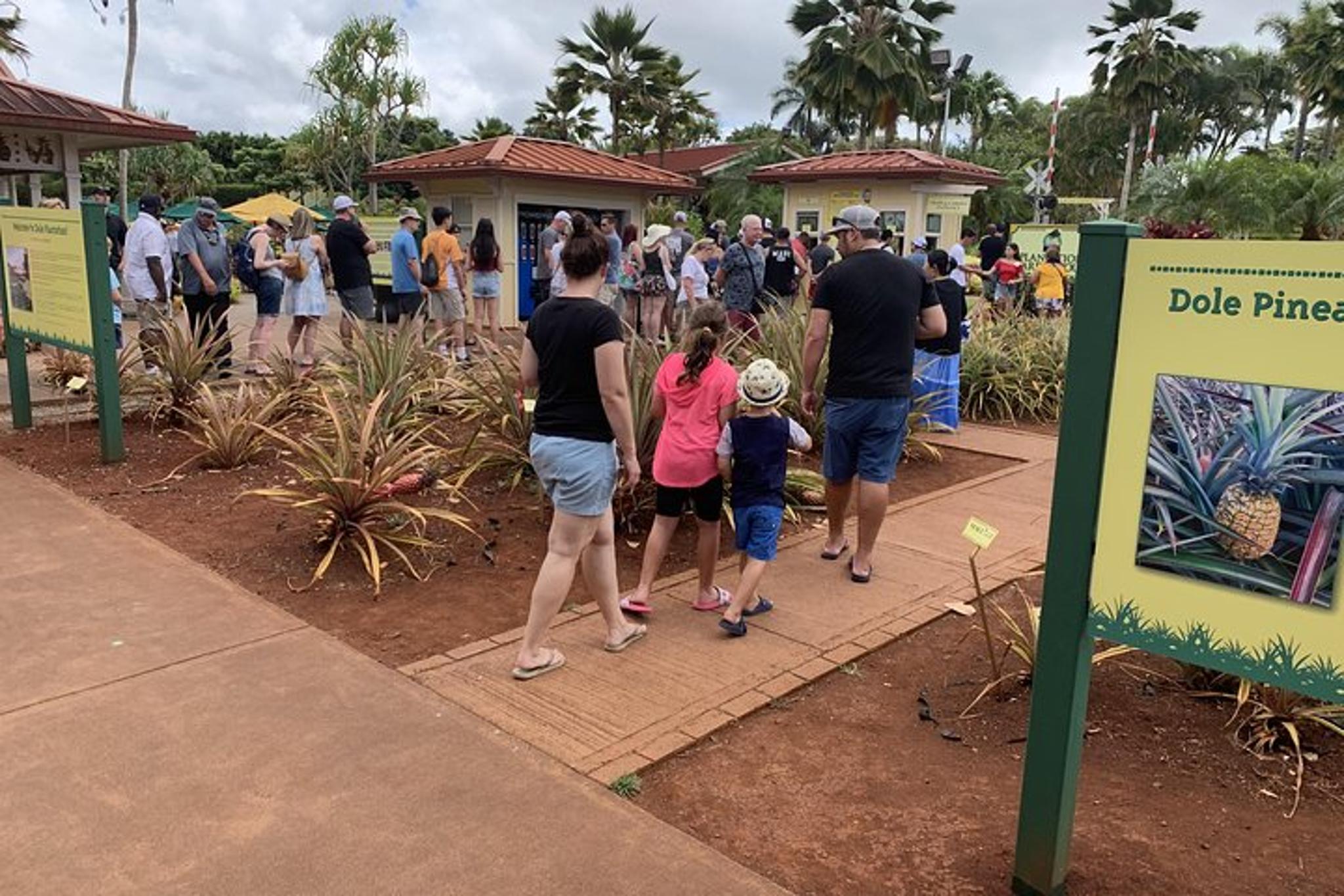 Oahu, Maui, Kauai or Big Island Private Tour - Image 6