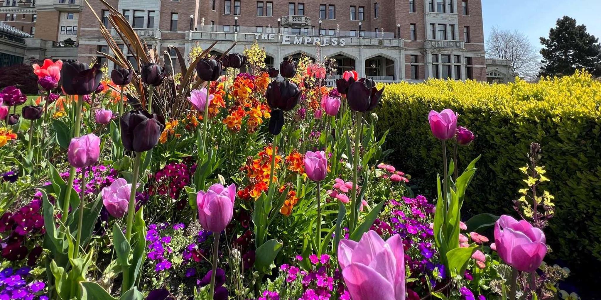 Seattle High-Speed Ferry to Victoria - Image 2