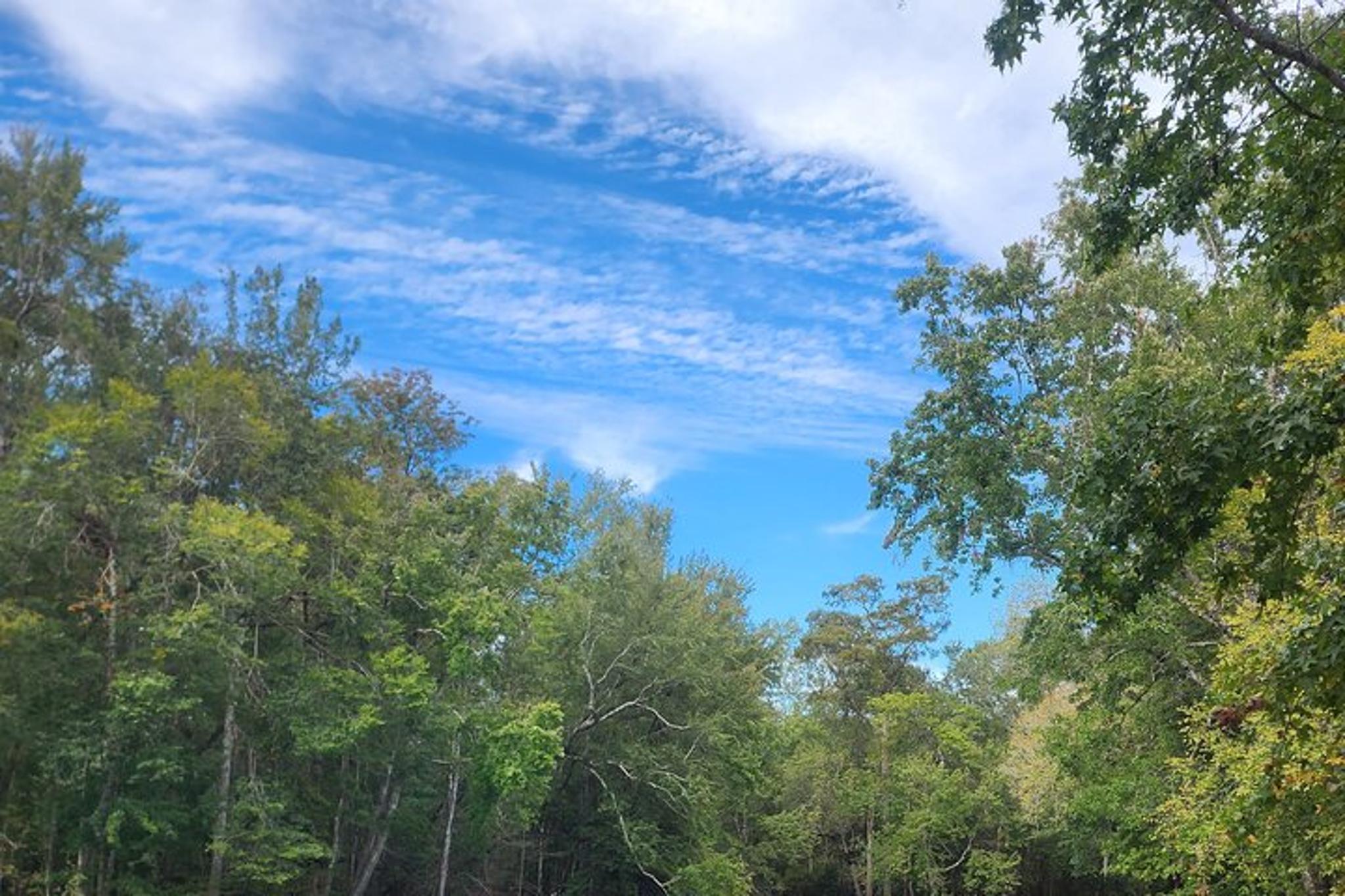Gilchrist Blue Spring Clear Glass Bottom Kayak Tour 2 hr - Image 5