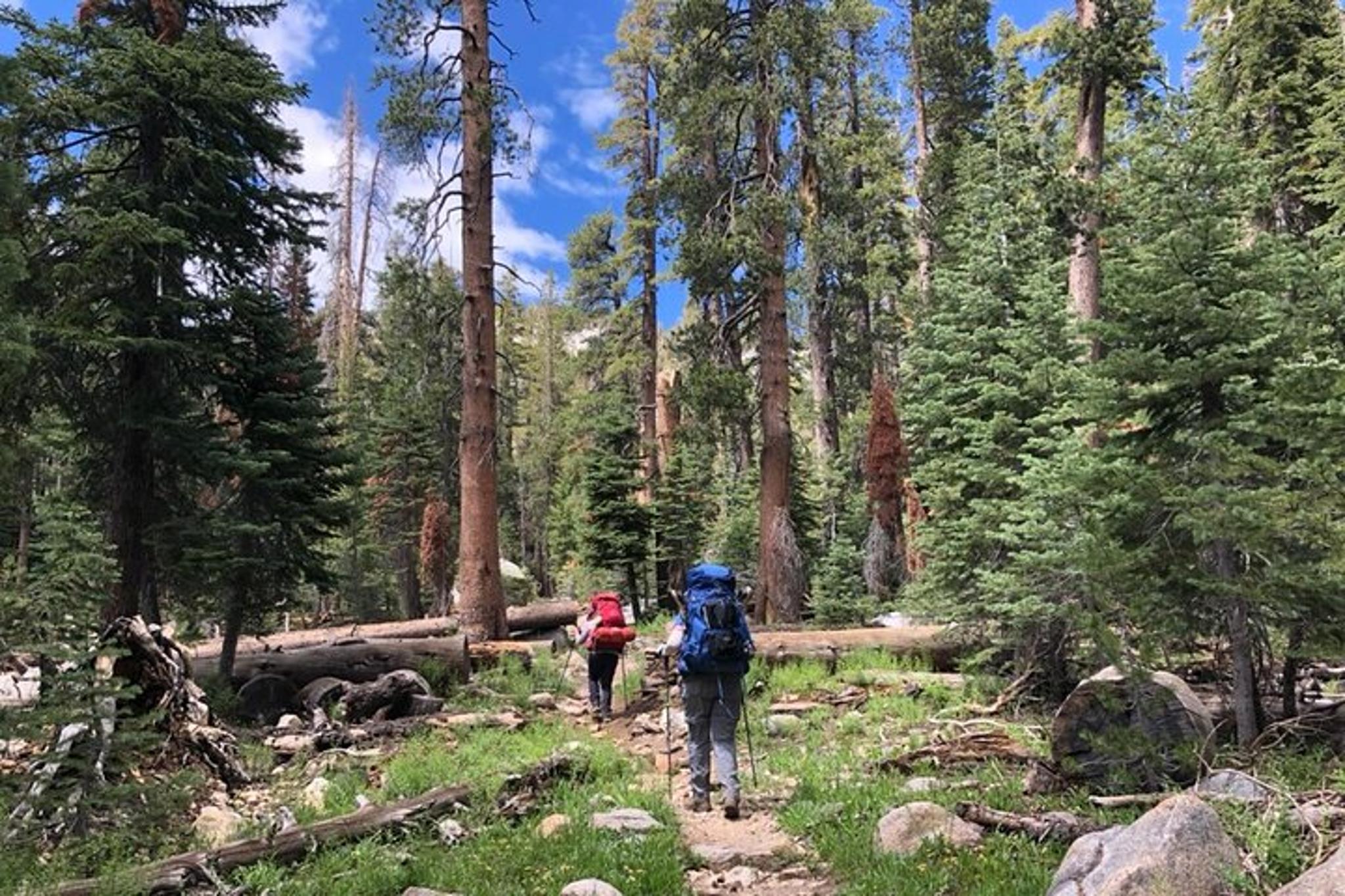 Yosemite Half Dome Guided Tour 4 Days - Image 6