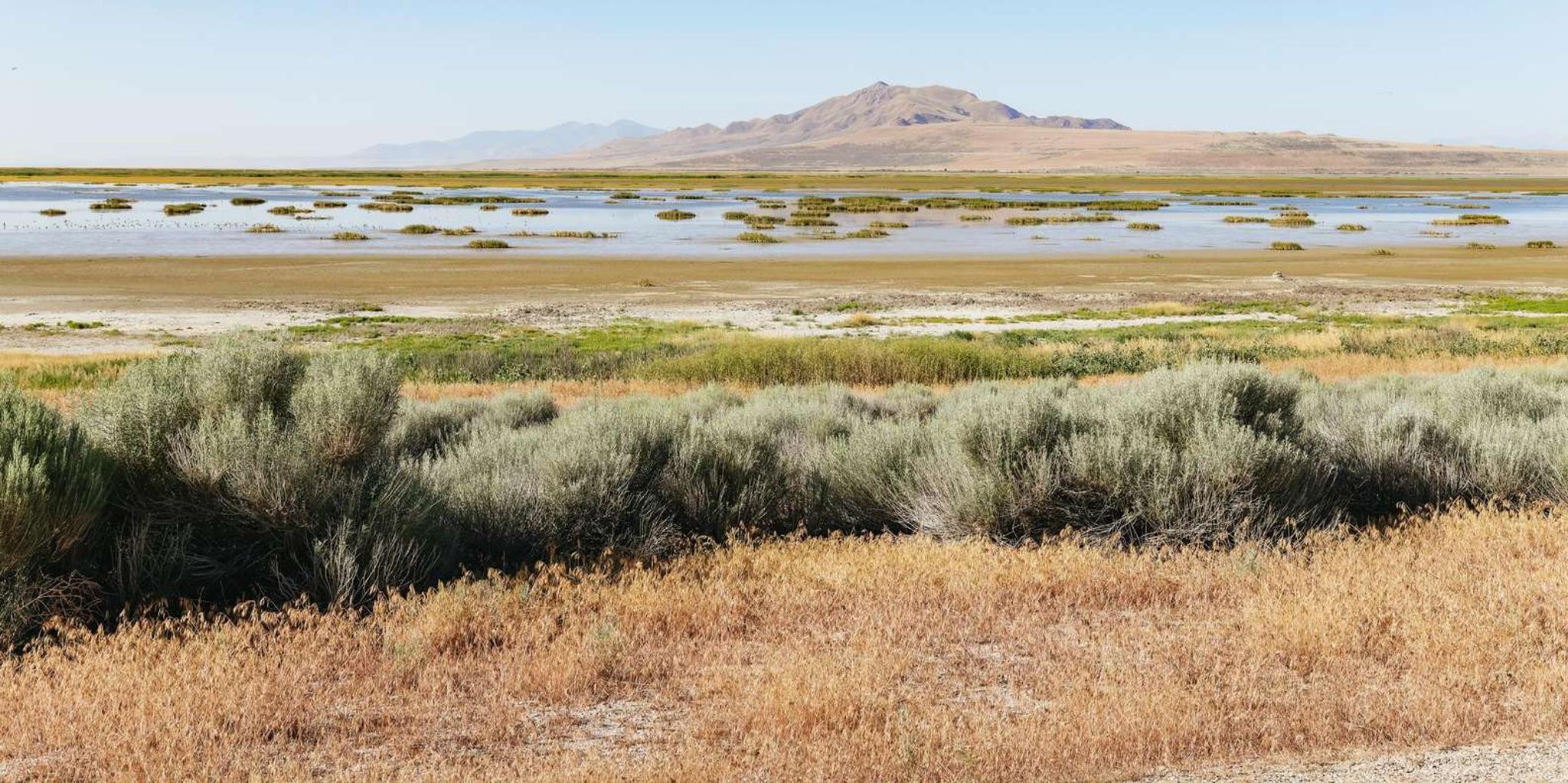 Salt Lake City Great Salt Lake Antelope Island Tour - Image 5