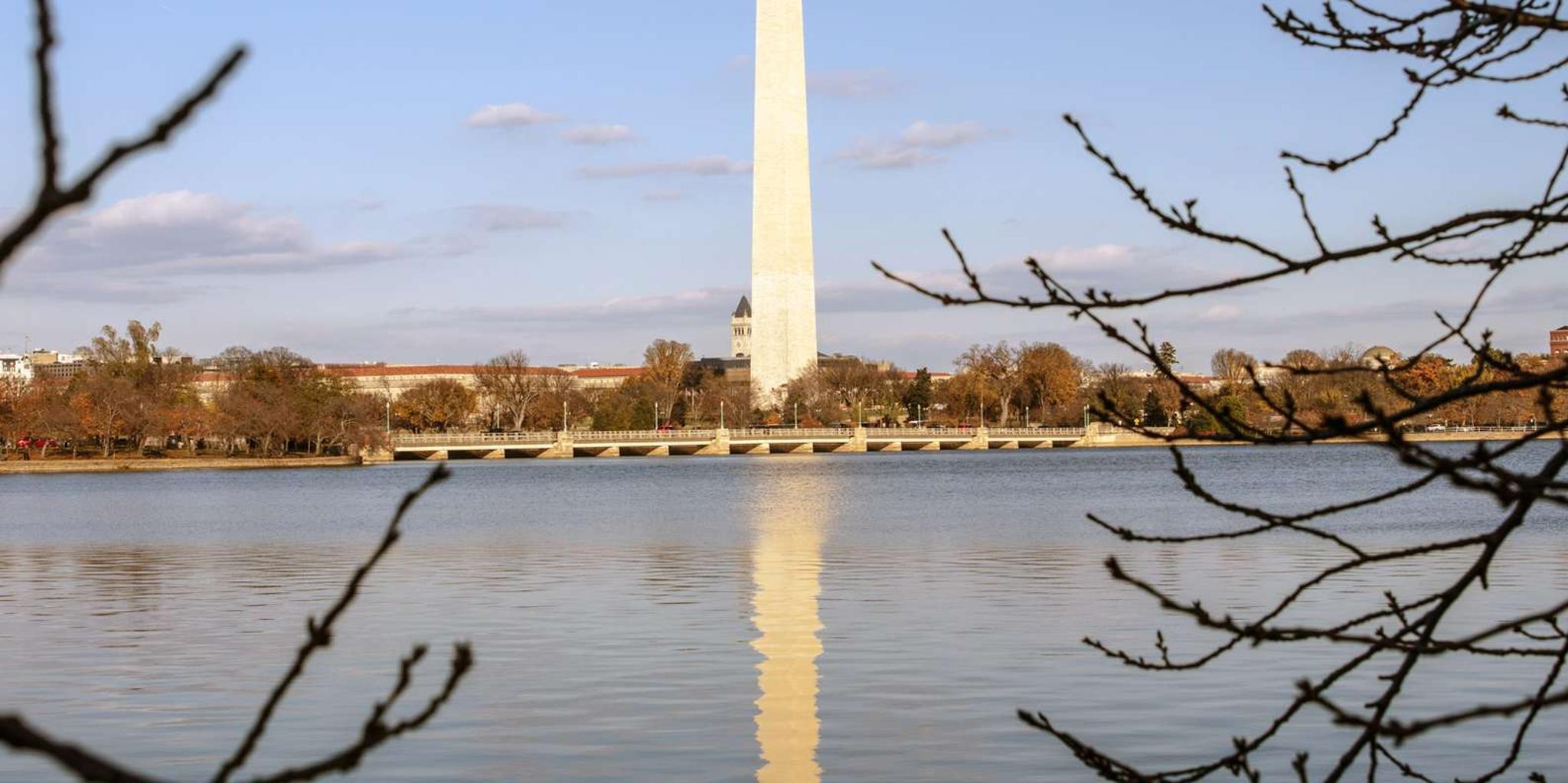Washington DC Cherry Blossom Bus Tour with Tidal Basin Walk - Image 5