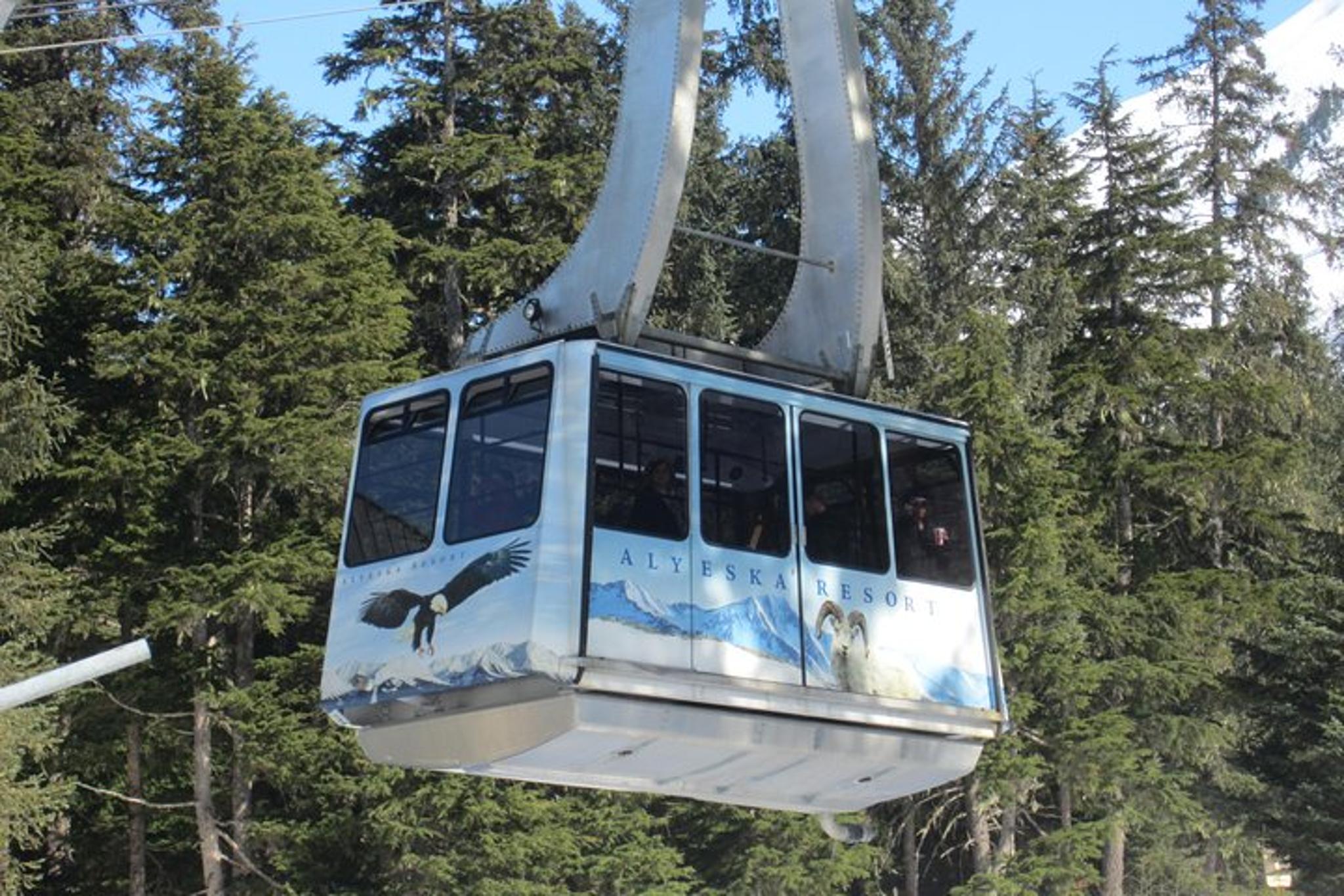 Anchorage Wildlife and Alyeska Tram Tour