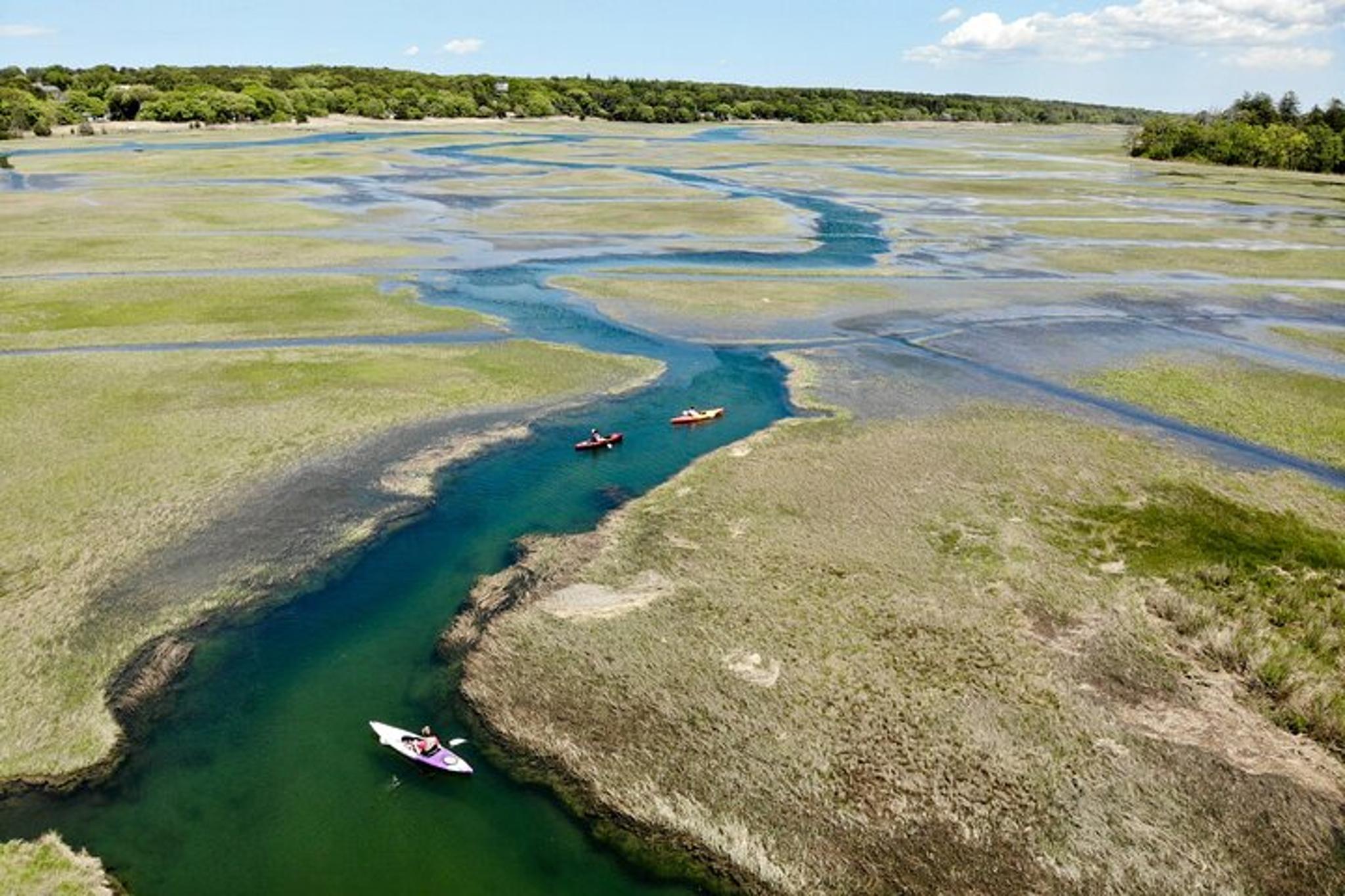 Cape Cod Kayak Tour in the Great Marsh - Image 3