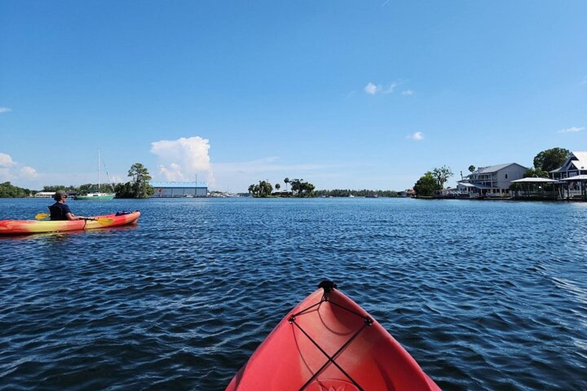 Crystal River Kayak Adventure - Image 6