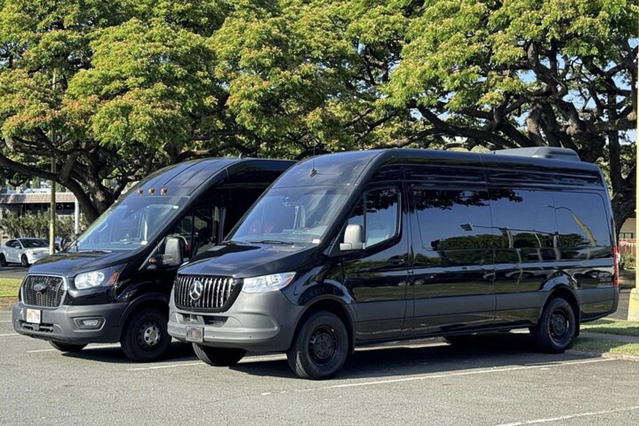 Honolulu Airport Transfer - Image 3