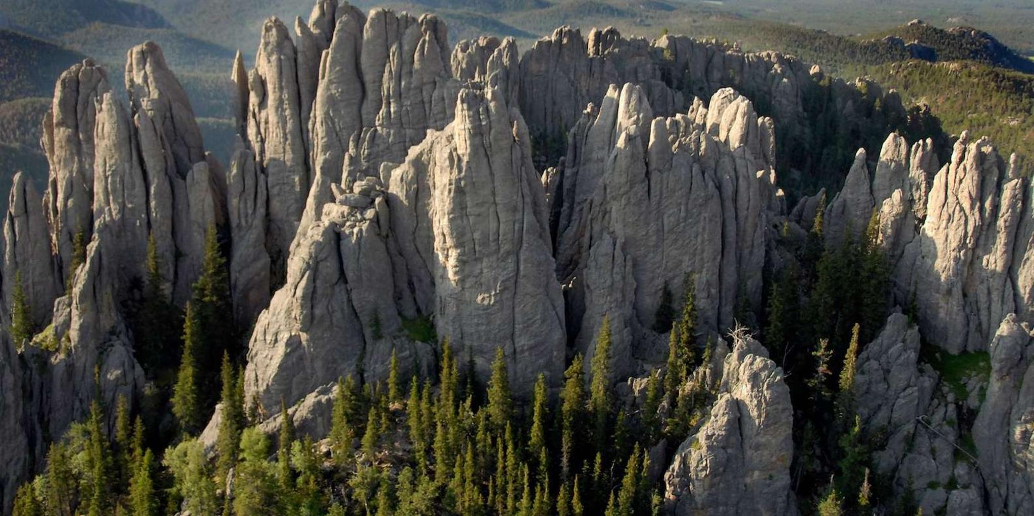 Custer State Park Jeep Safari & Mammoth Site Tour - Image 4