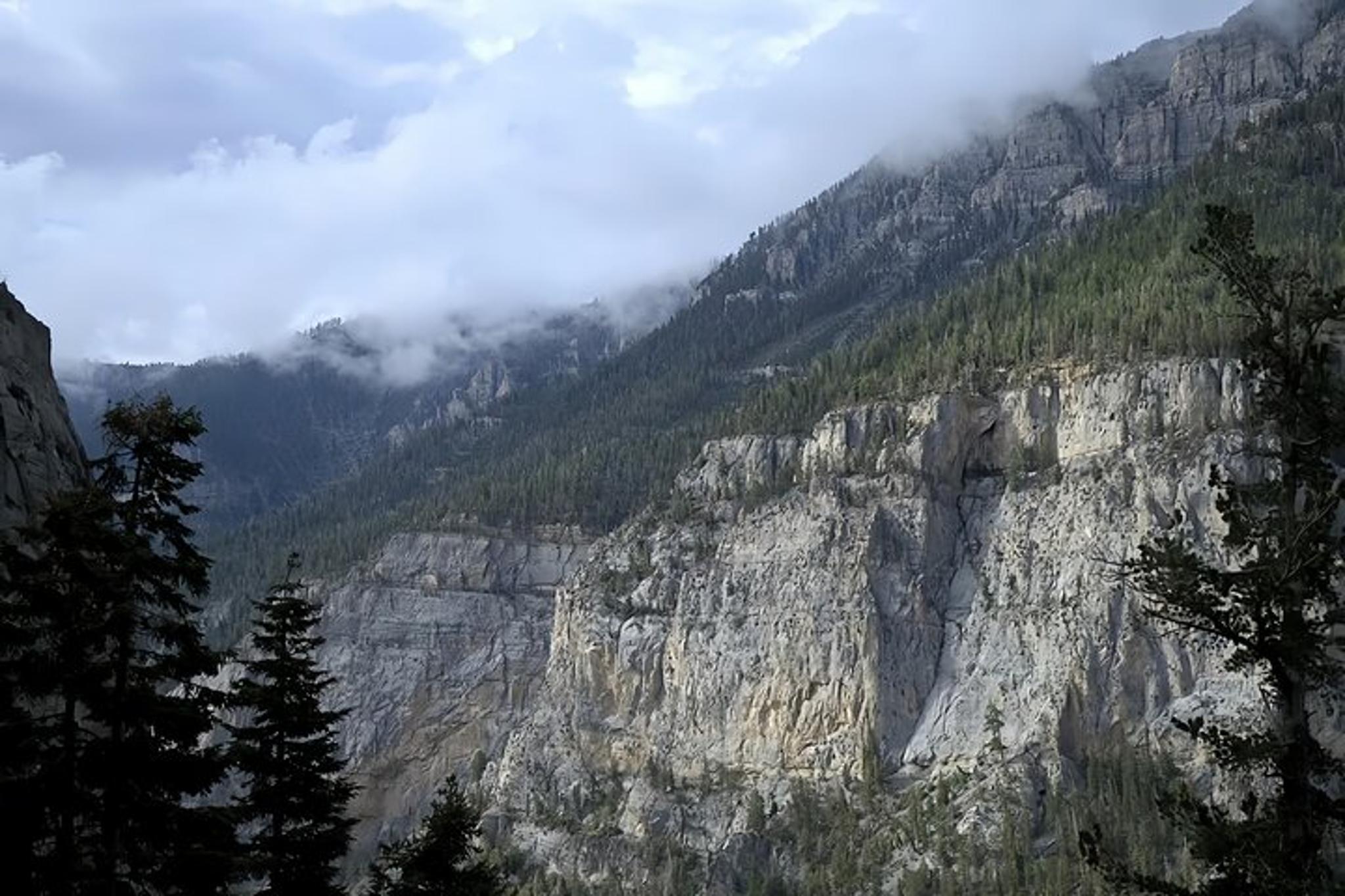 Las Vegas Mount Charleston Hiking Tour