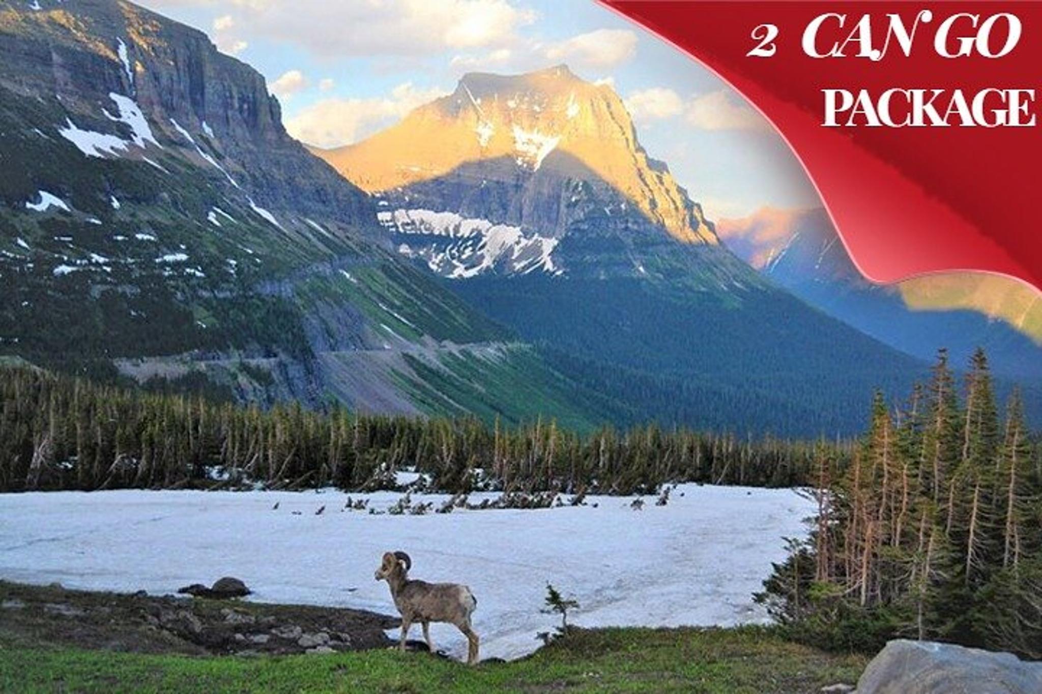 Grand Teton, Yellowstone, and Glacier National Parks Tour