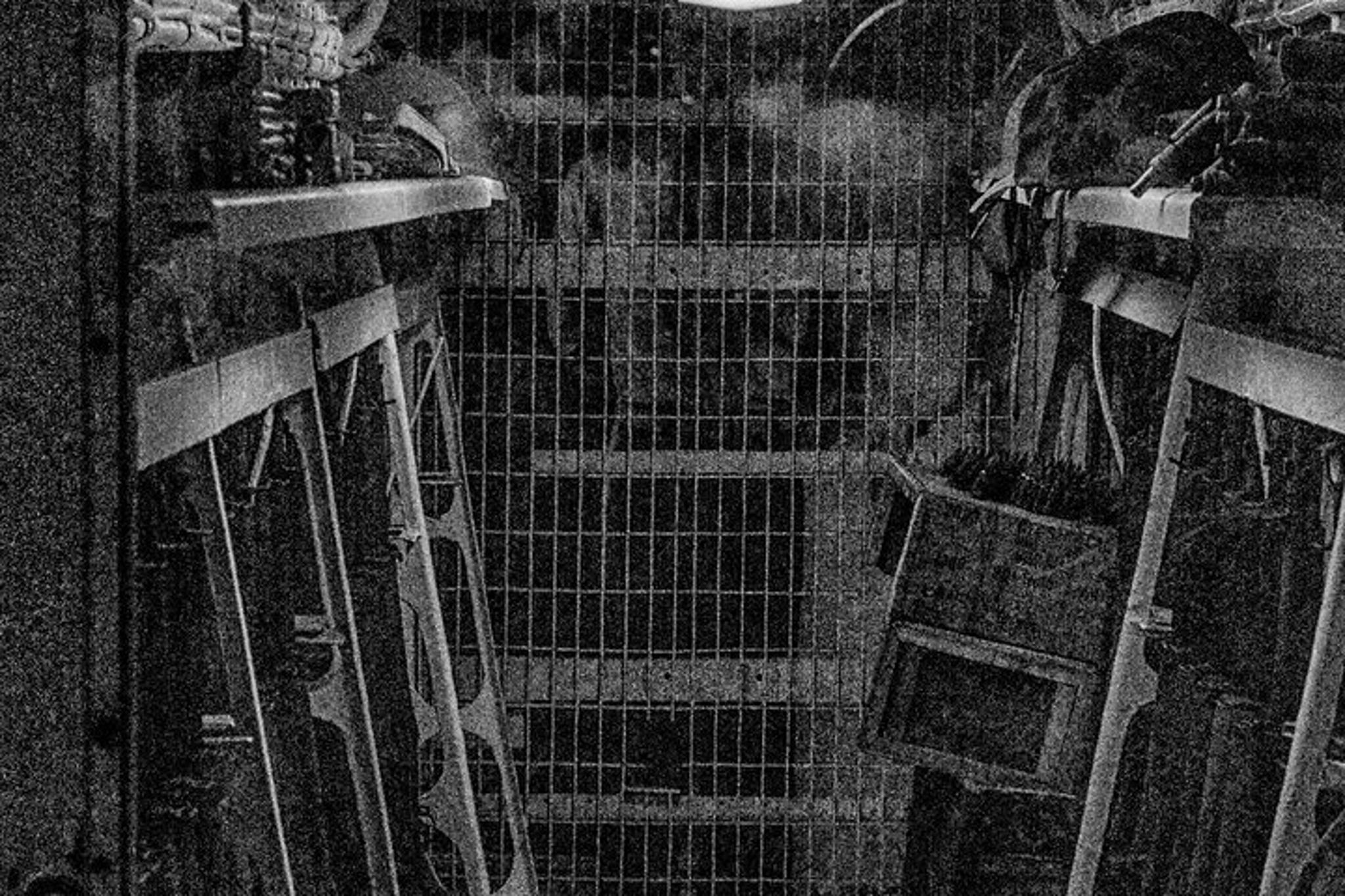 Charleston USS Yorktown Haunted Tour 1.5 hr - Image 6