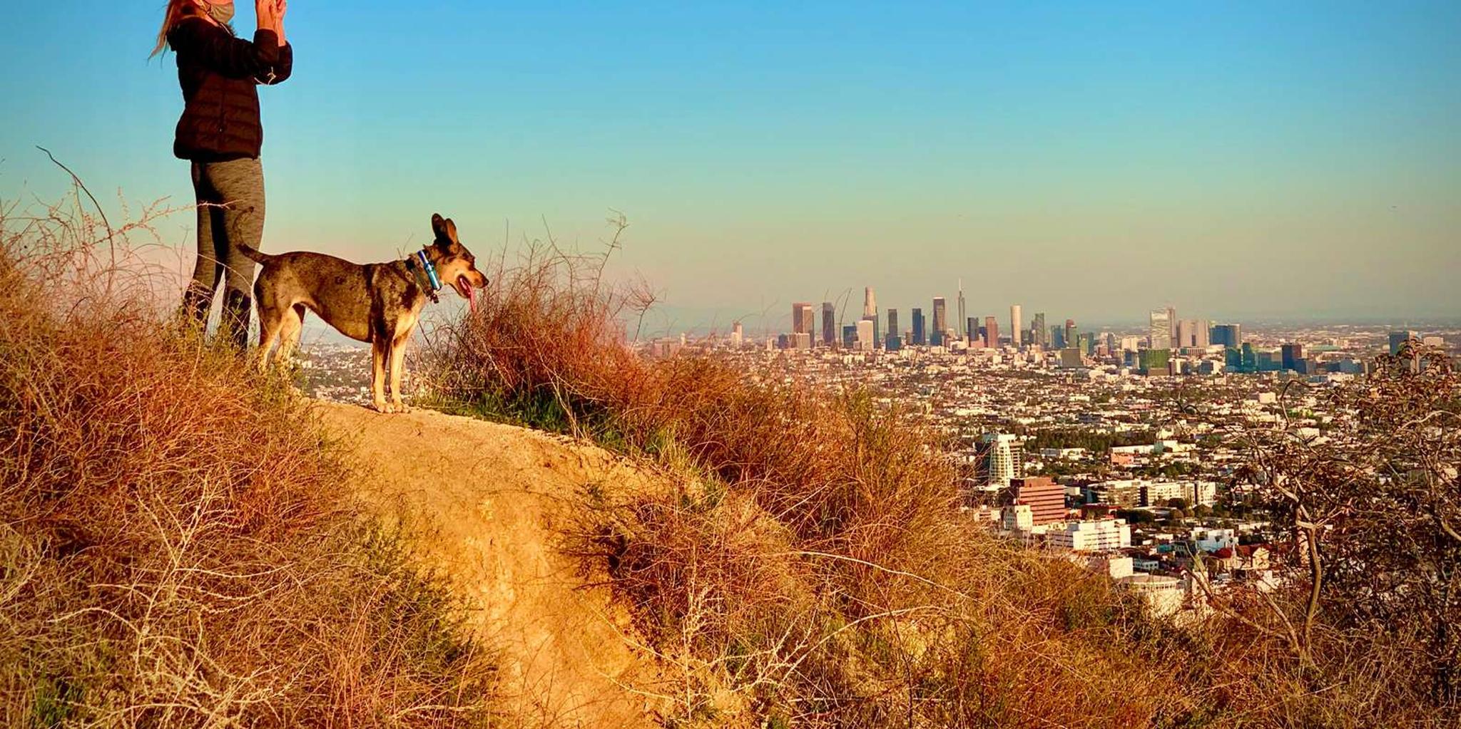 Hollywood Walking and Hiking Sunset Tour - Image 4