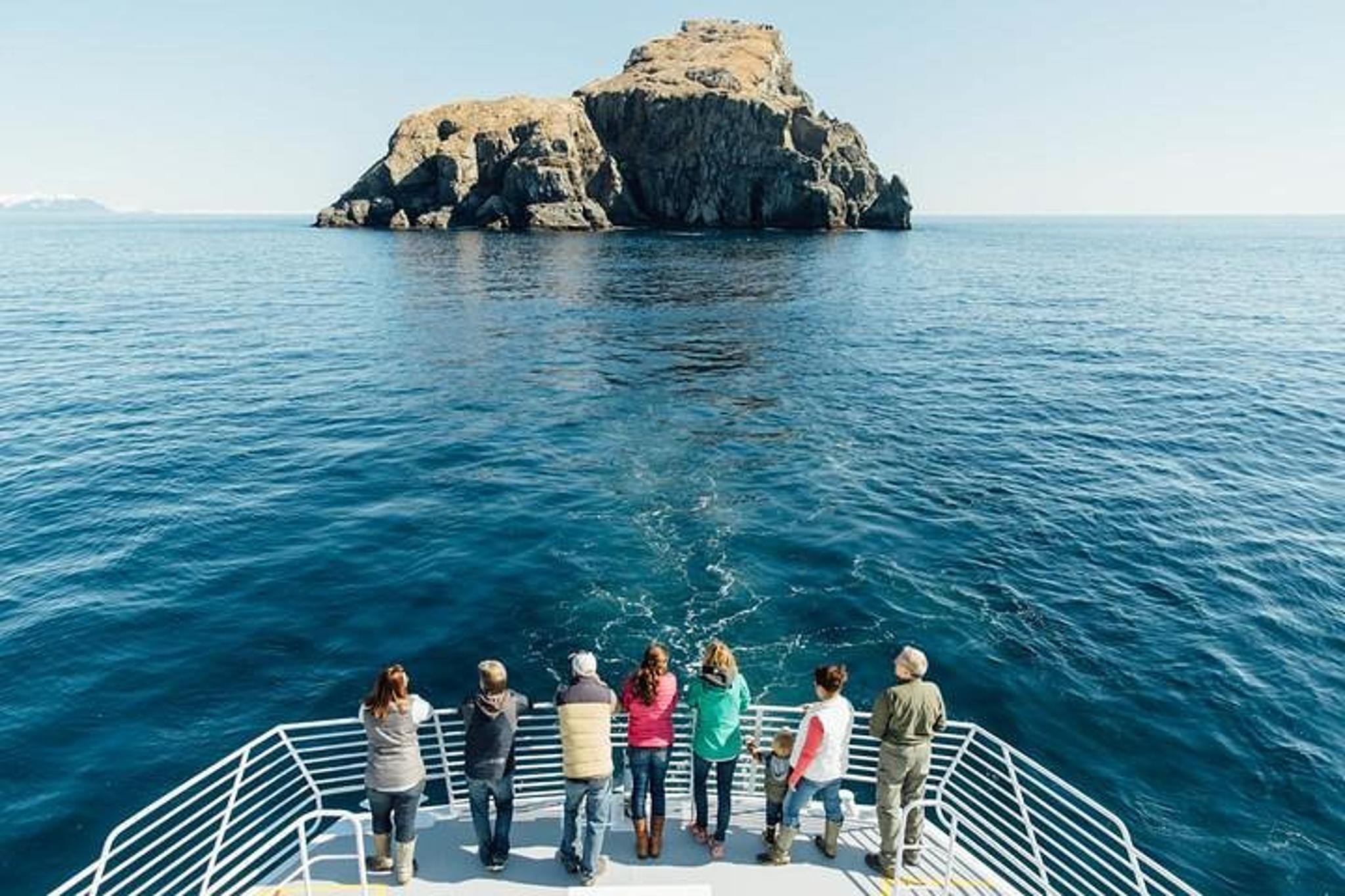 Seward Glacier Dinner Cruise - Image 6