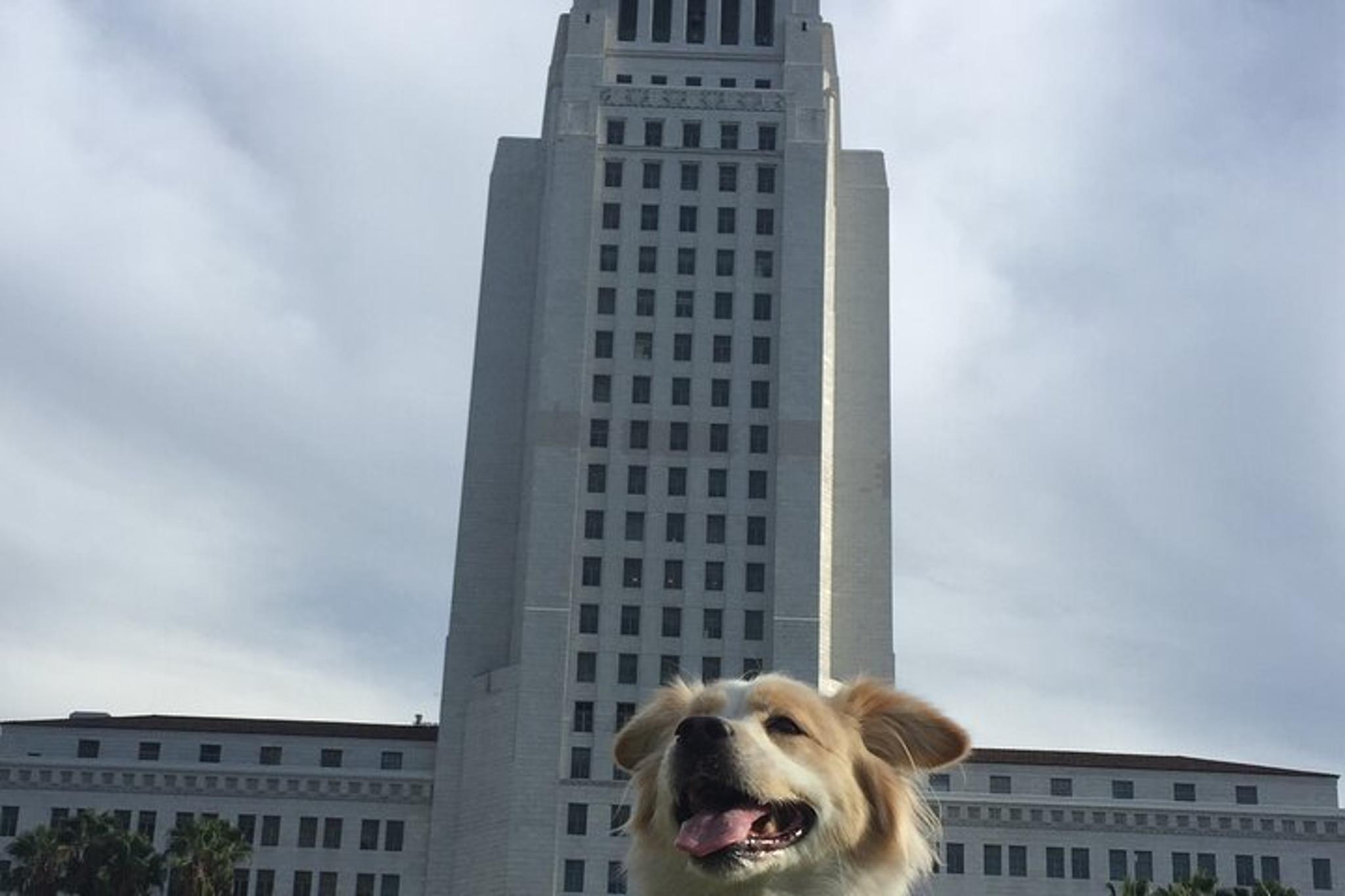 Los Angeles Haunted Theater Tour - Image 2