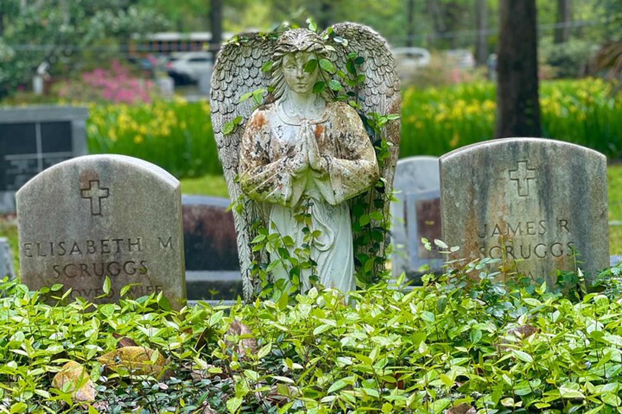 Charleston Historic Plantations Tour 4 hr - Image 3
